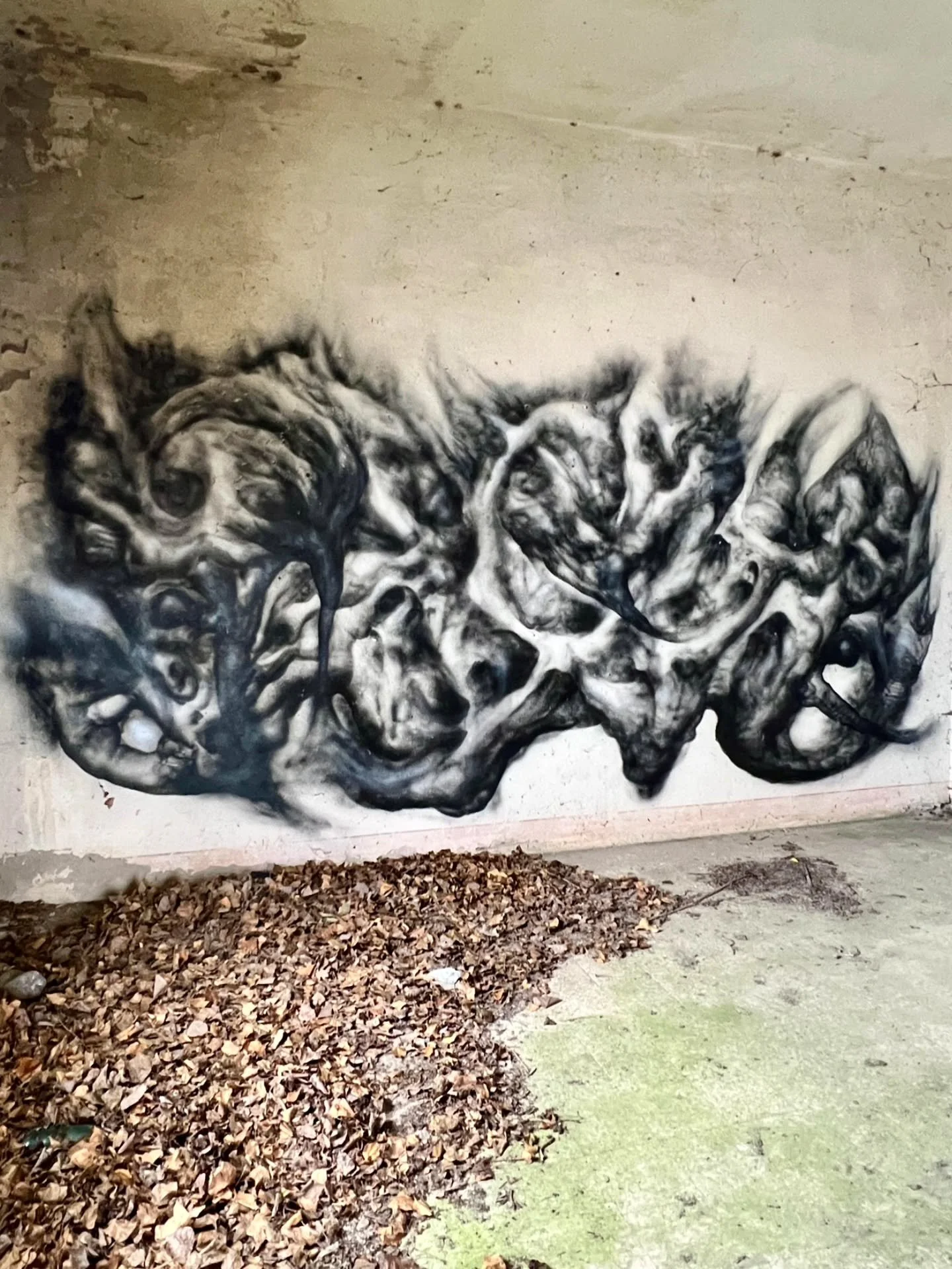 Lord of darkness @dissenso.cognitivo 
.
.
.
.
#dissensocognitivo #black #lordofdarkness #odio #spray