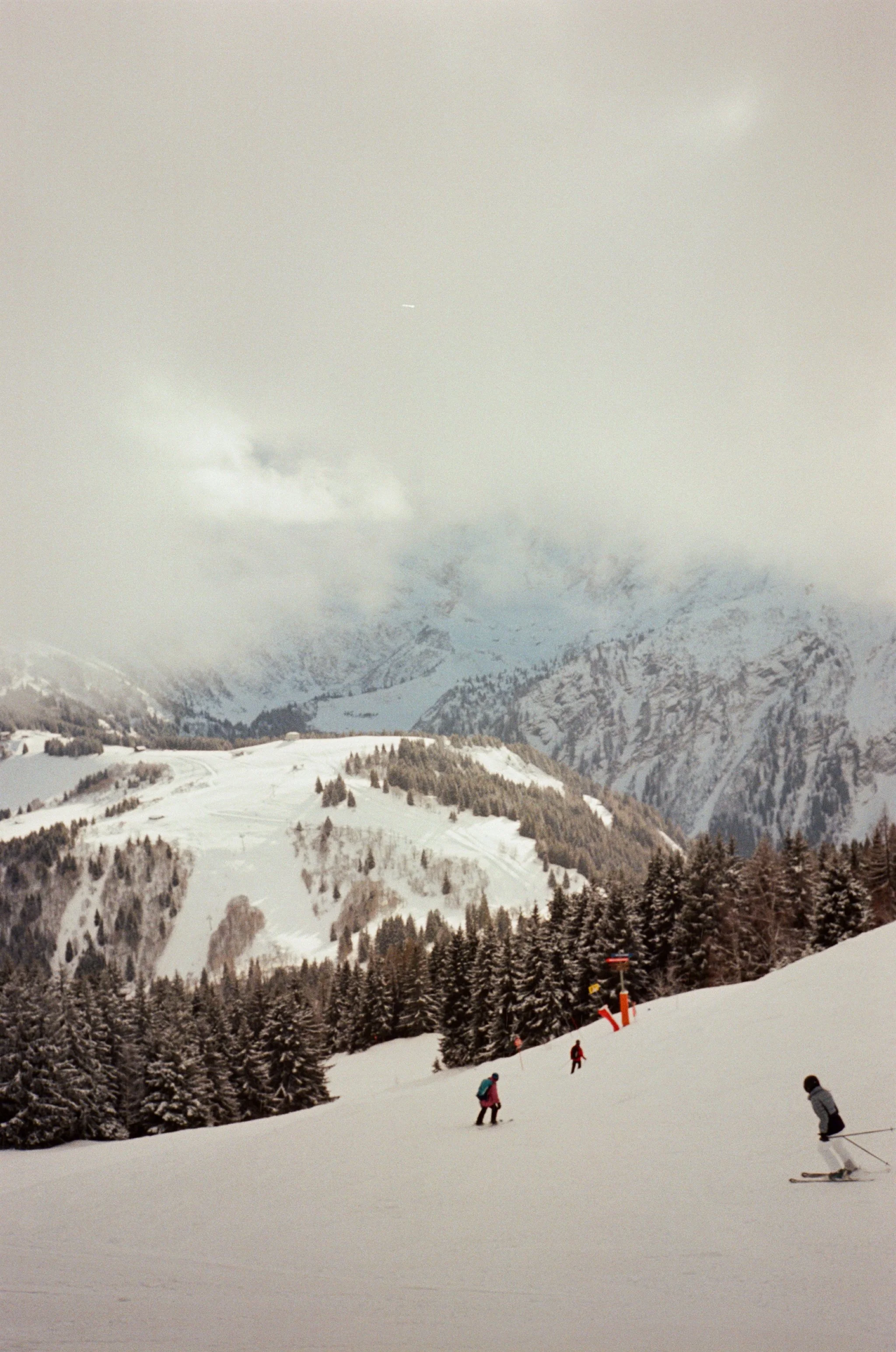 15920018.JPG