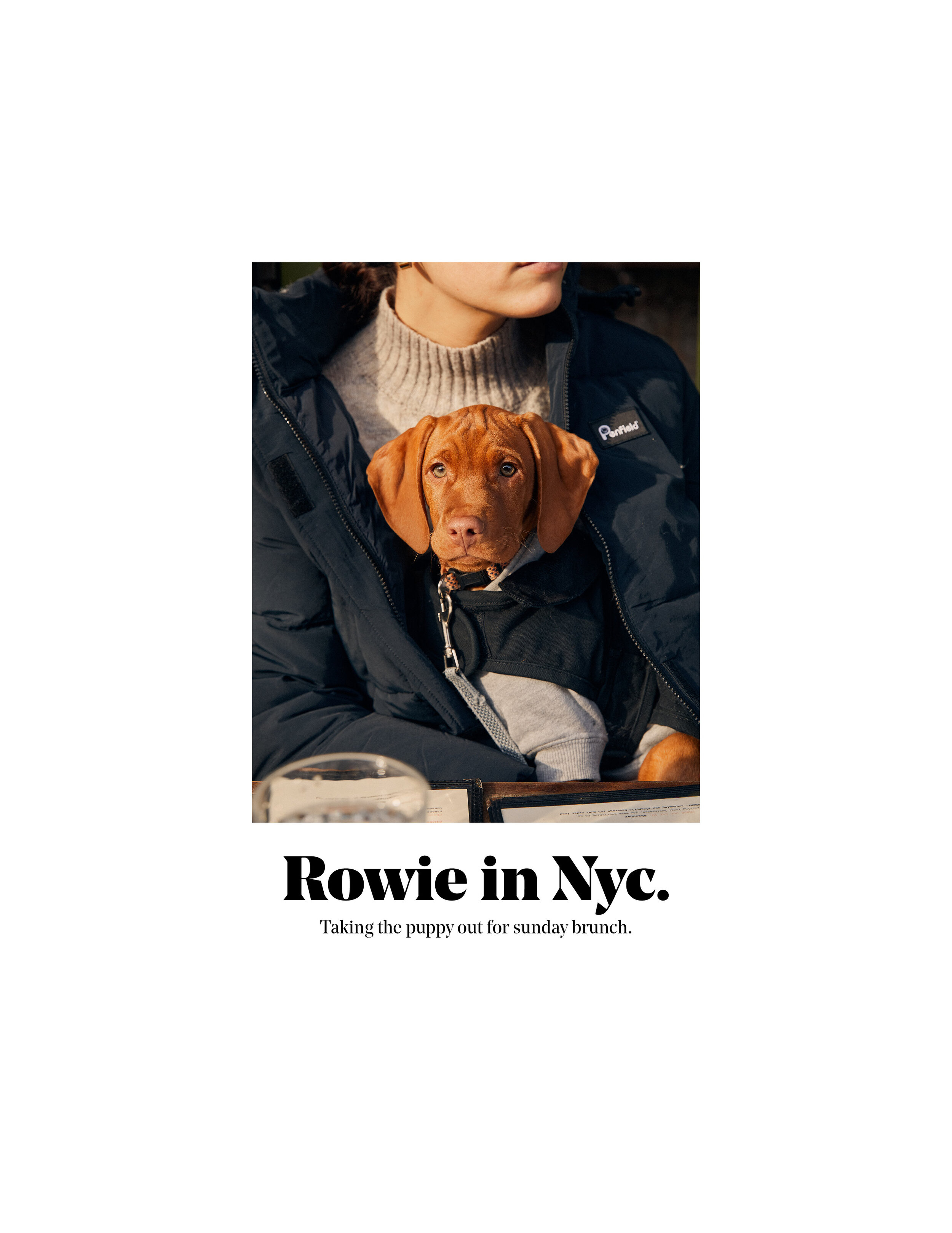 Rowie_in_Nyc.jpg