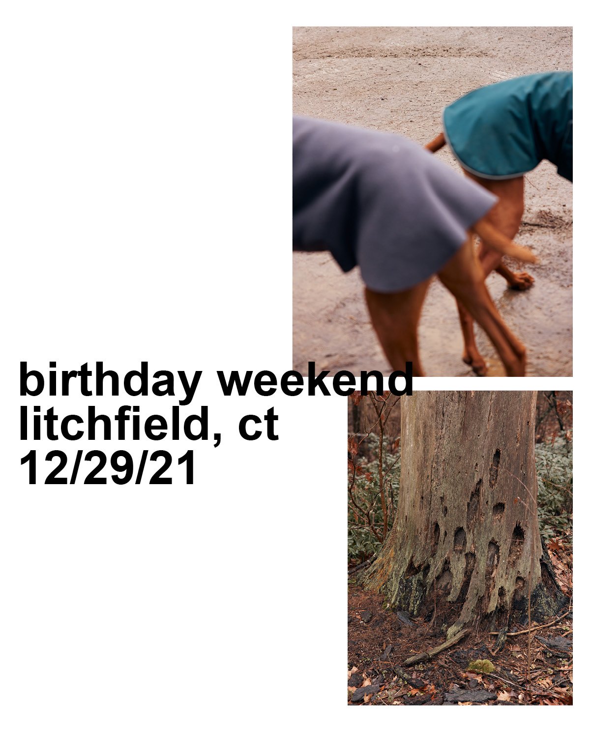 BDAY_29_WKND_.jpg