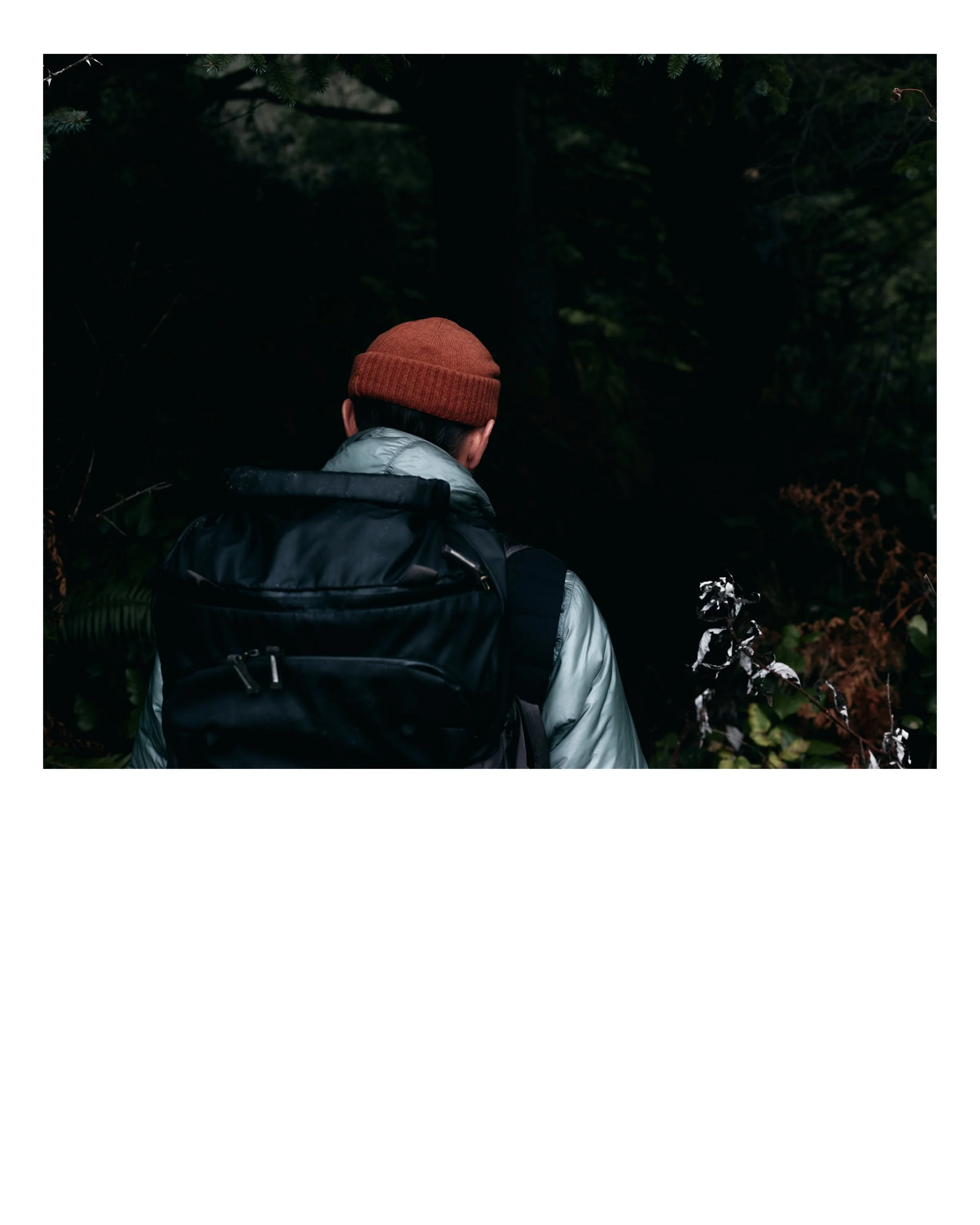 Oregon_3.jpg