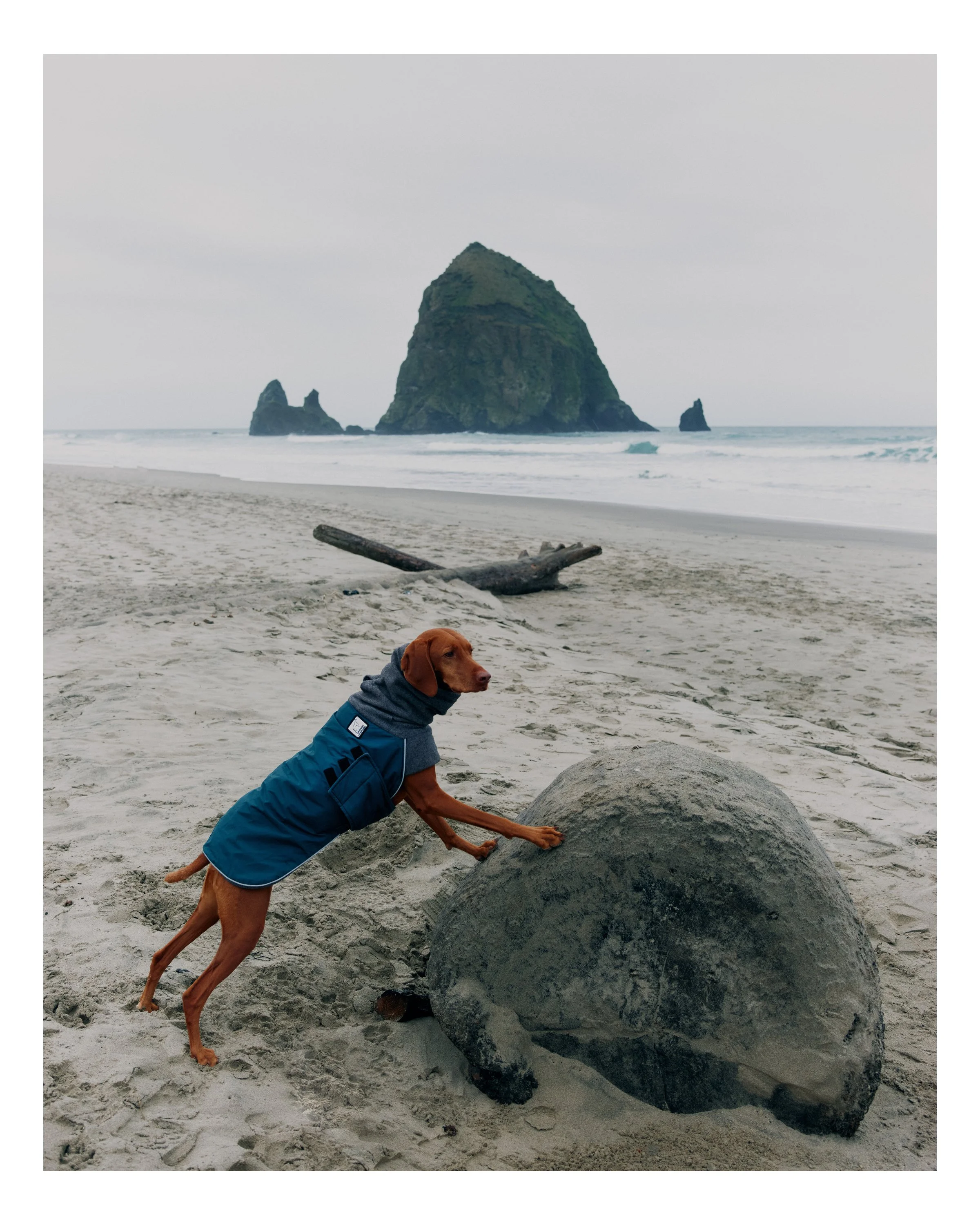 Oregon_7.jpg