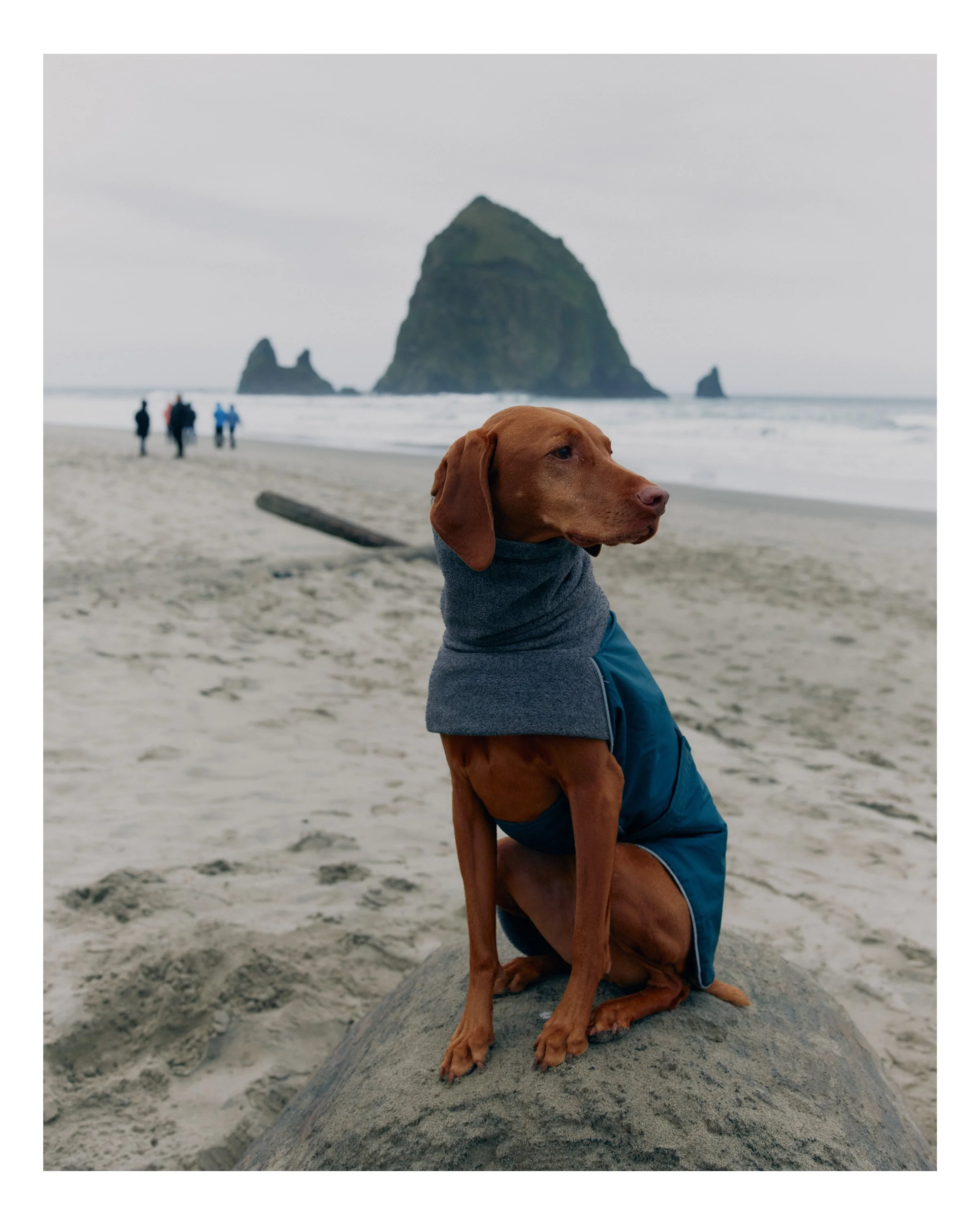 Oregon_17.jpg