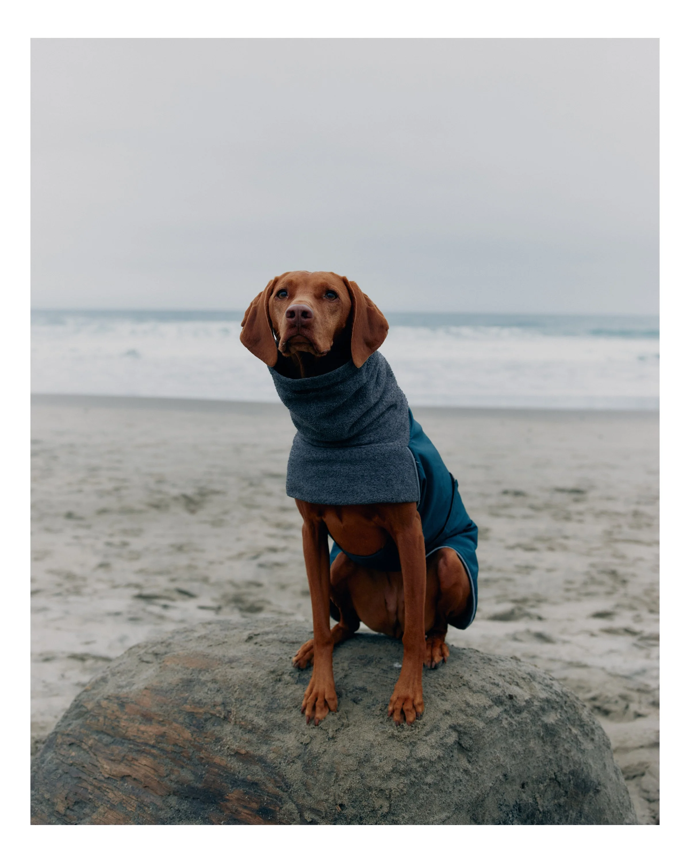 Oregon_22.jpg