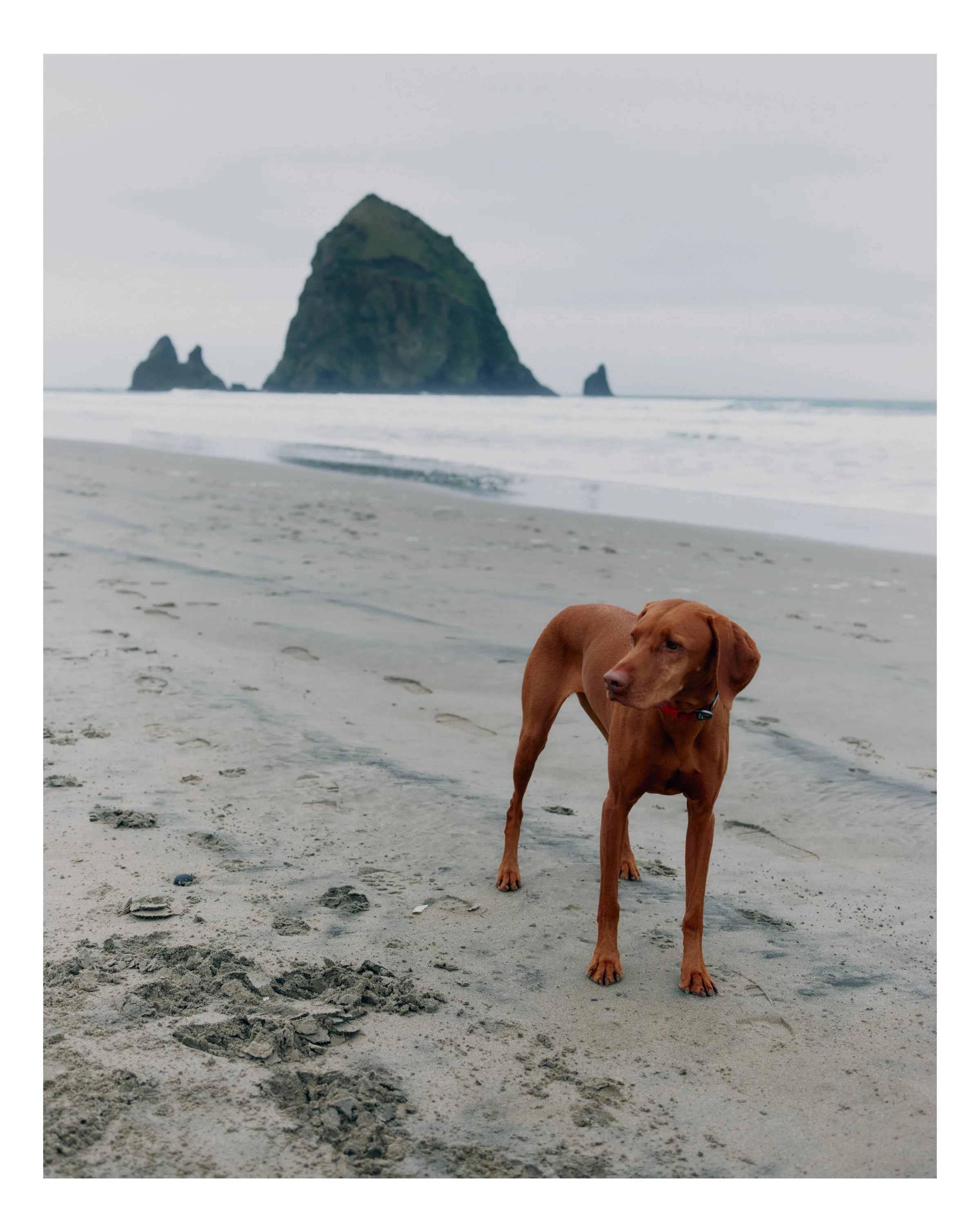 Oregon_25.jpg