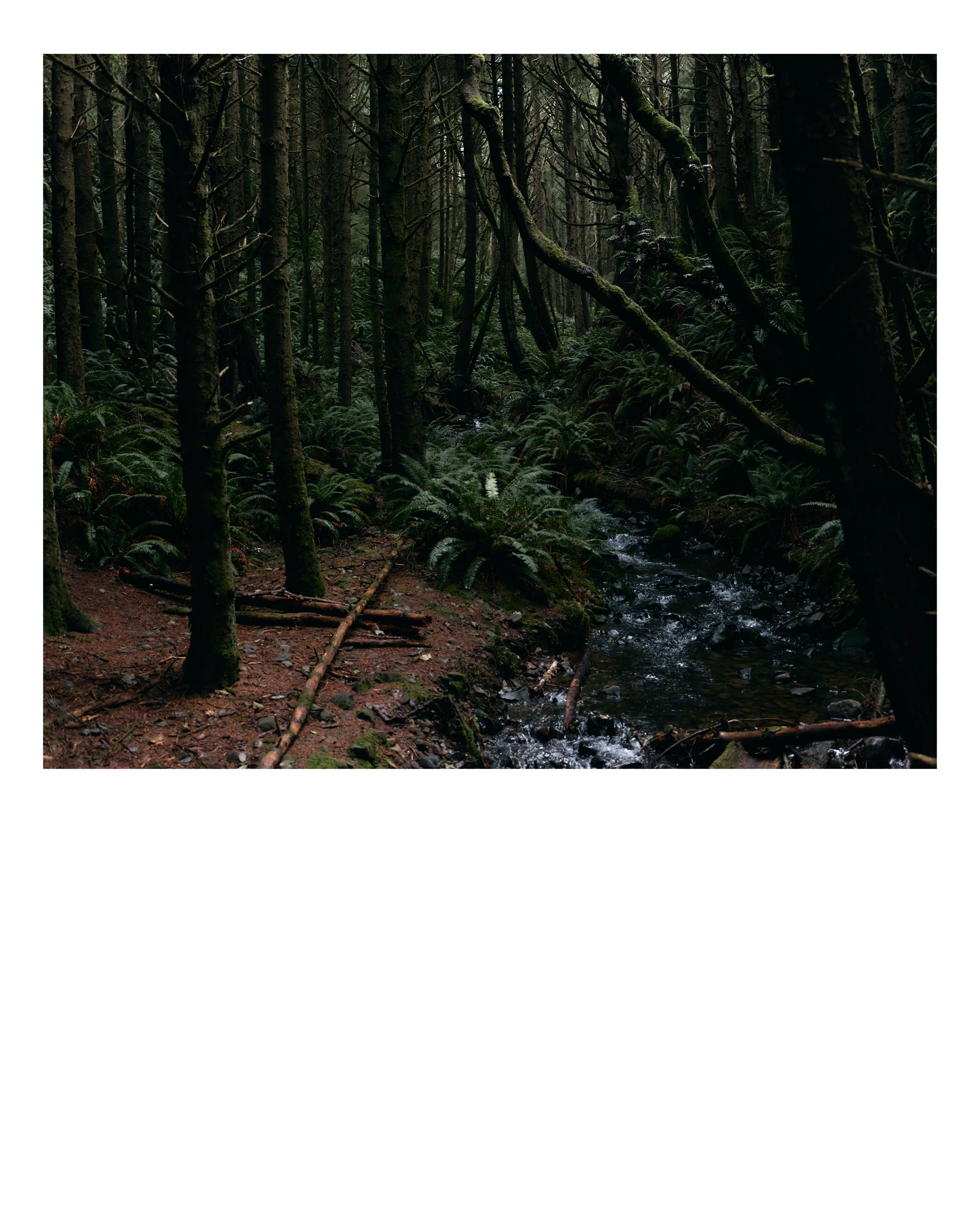 Oregon_30.jpg