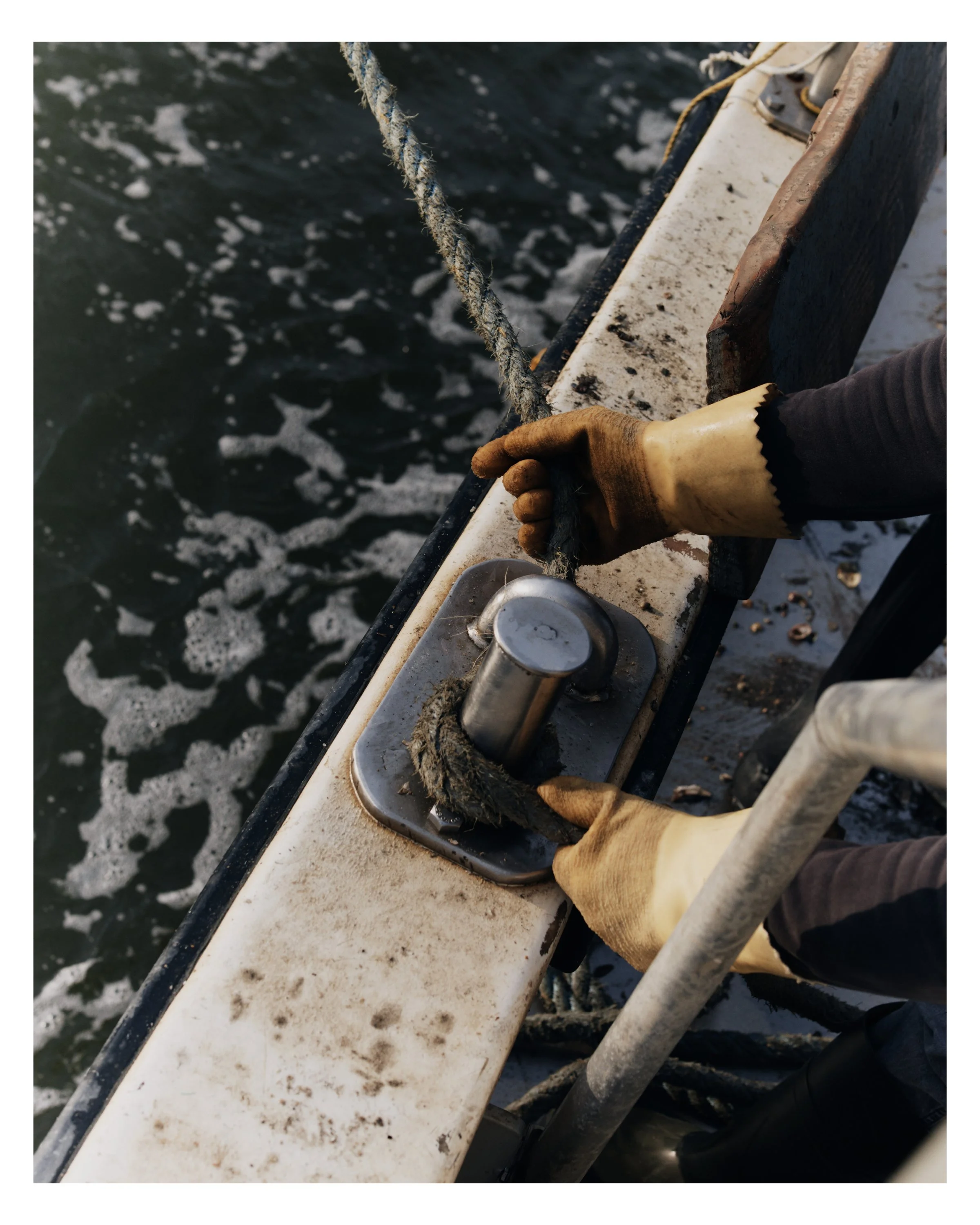Copps_June_10.jpg