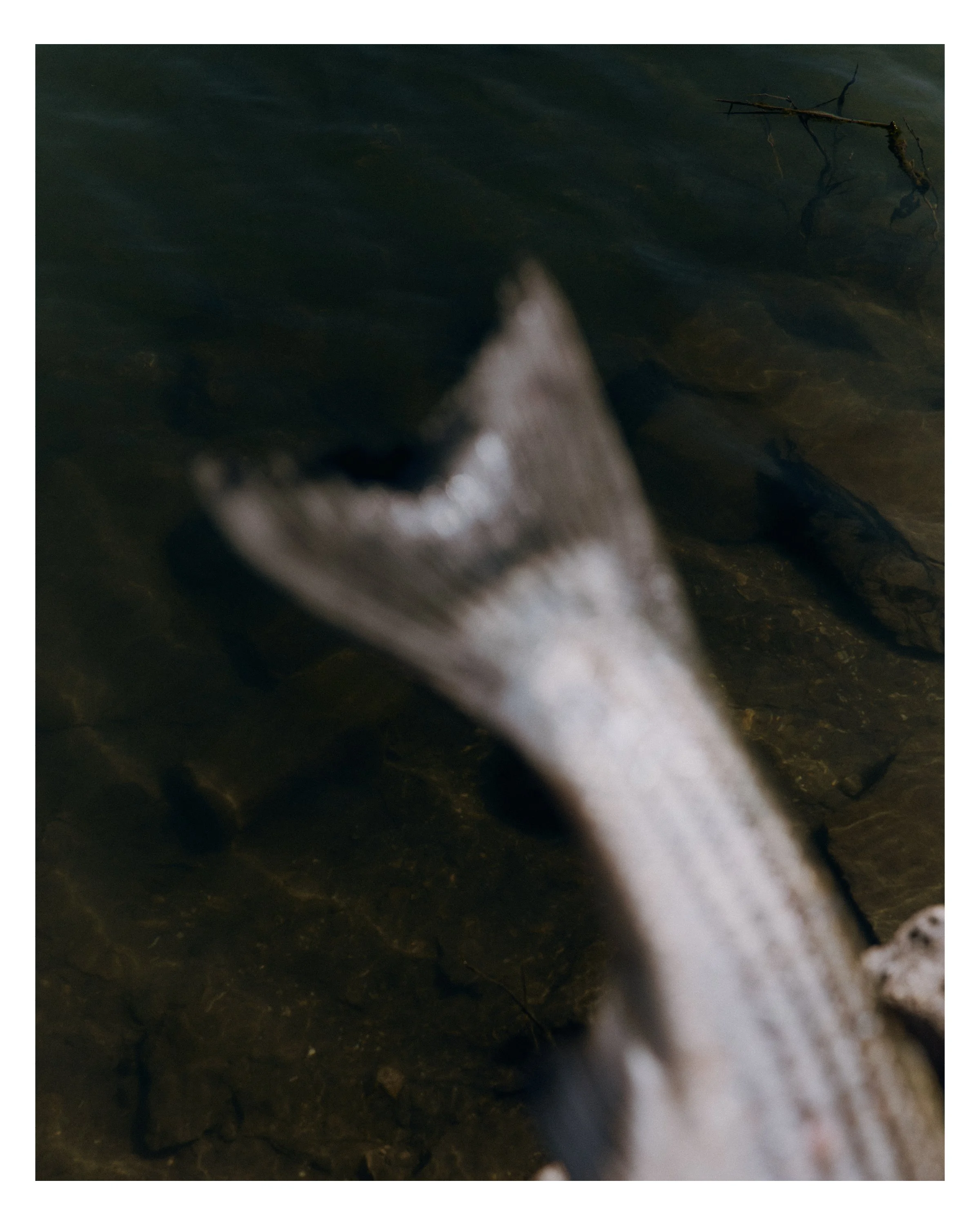 RS_17.jpg