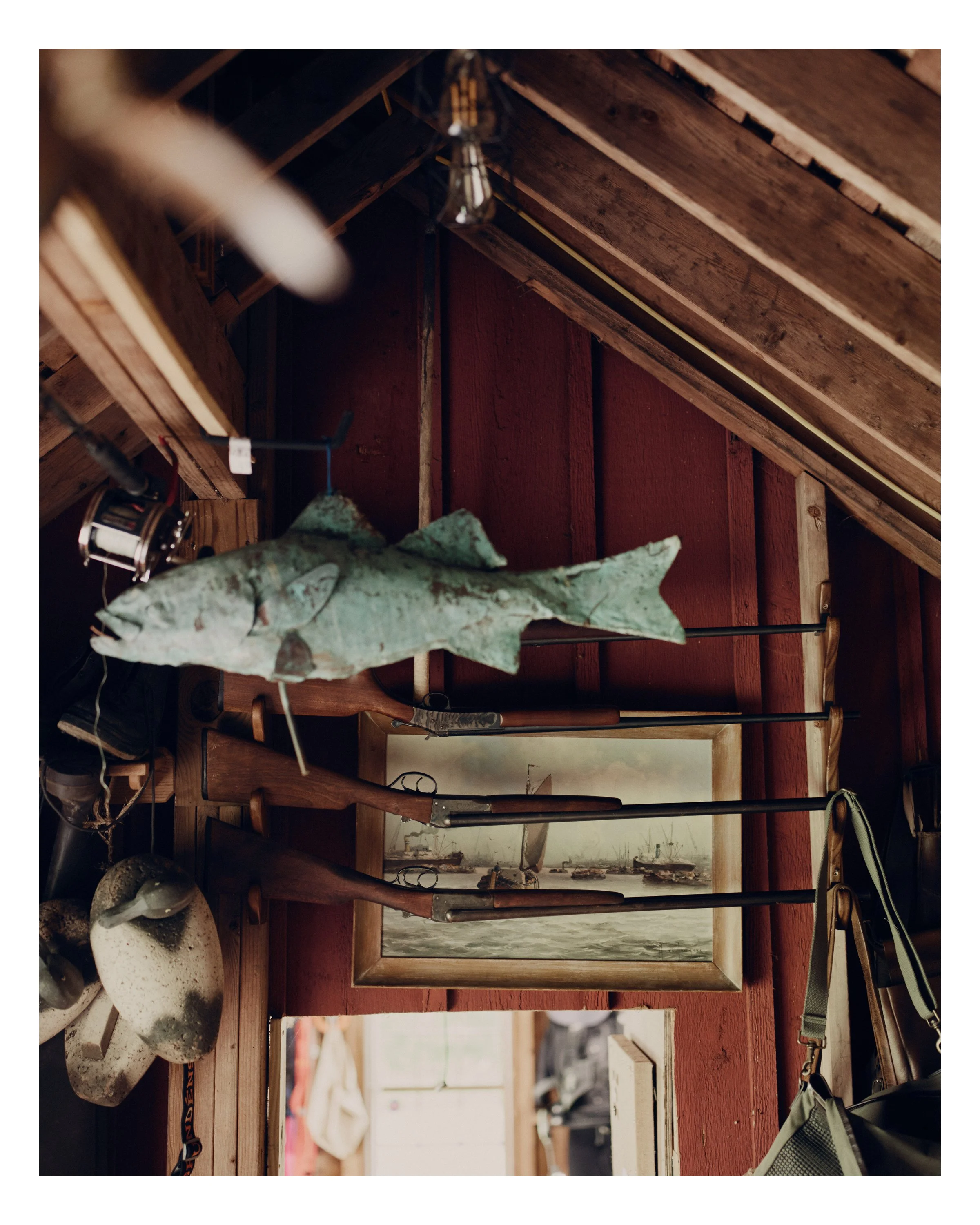 Peter_27.jpg