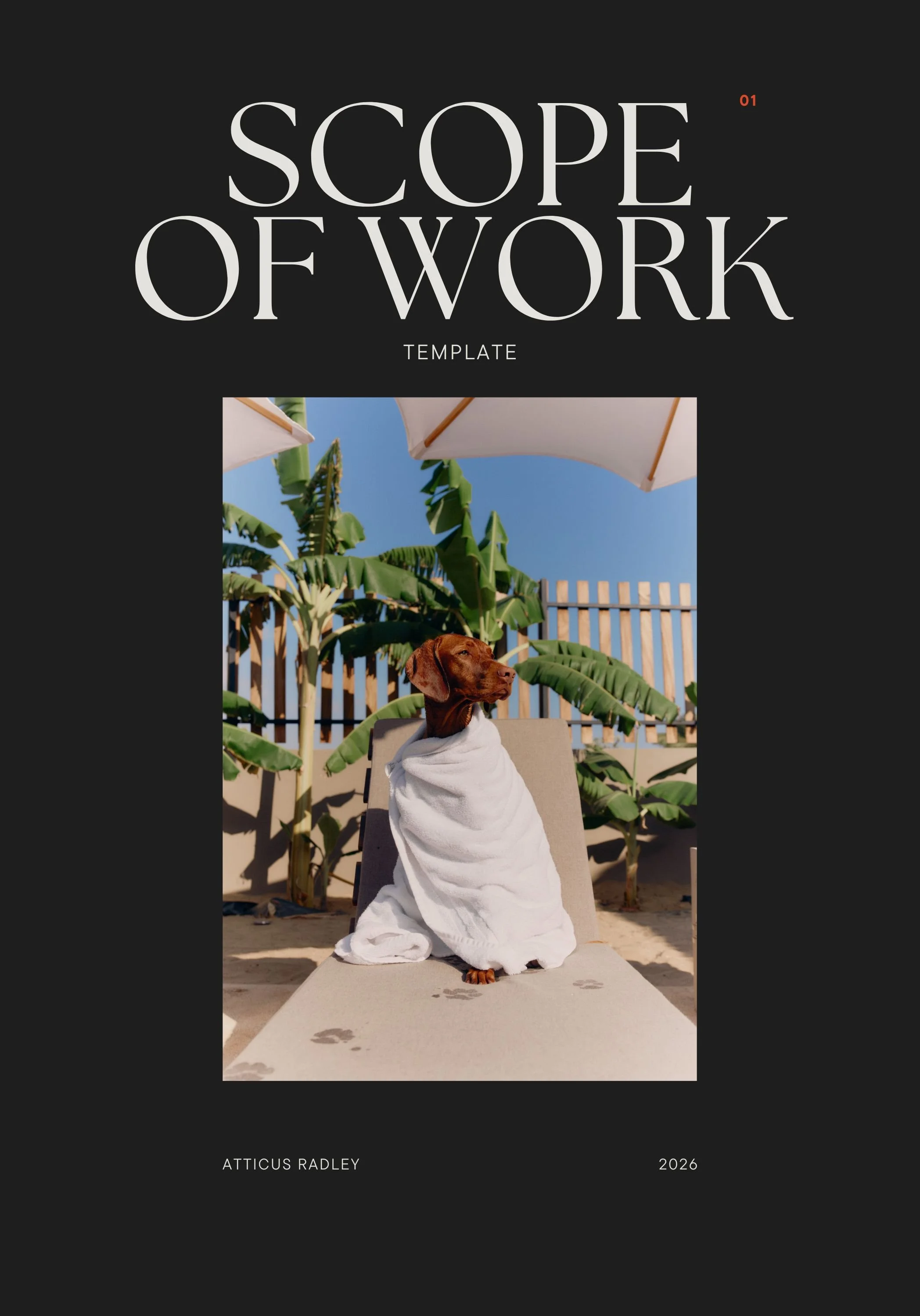 Modern Aesthetic Photography Beauty Personal Interests Zine-3.jpg