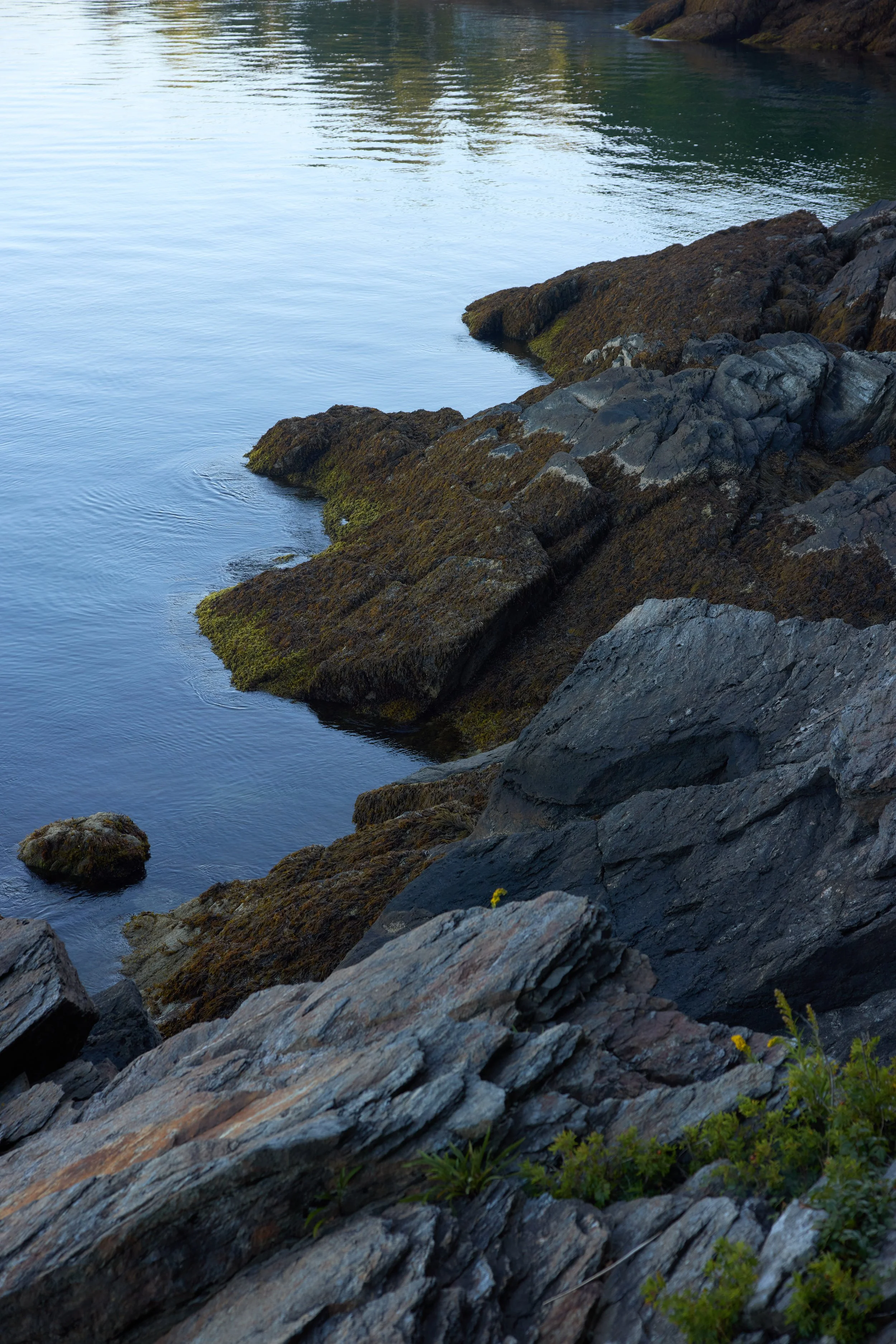 Maine_Dark_ 8.jpg