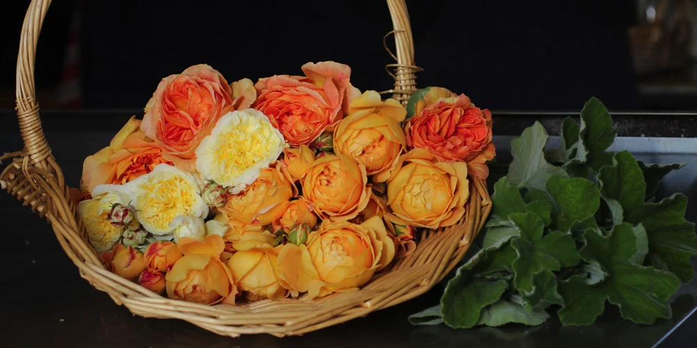 slideshow.3.jpg