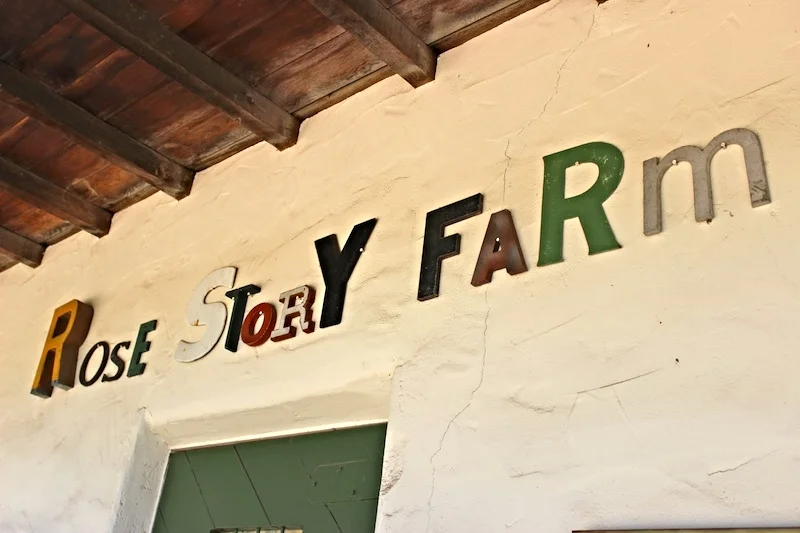 Welcome to Rose Story Farm's First Blog!