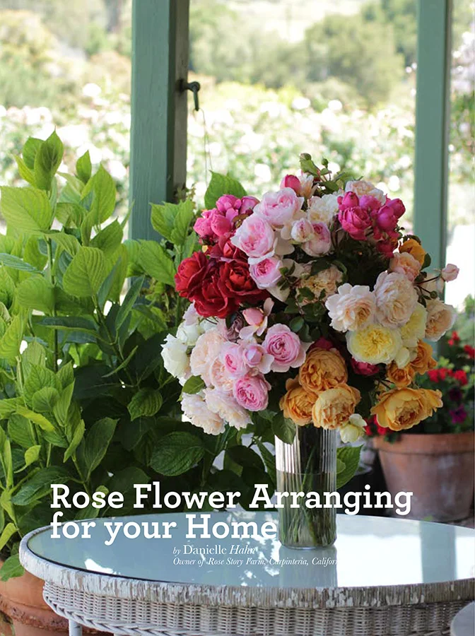 American Rose: "Rose Flower Arranging for your Home