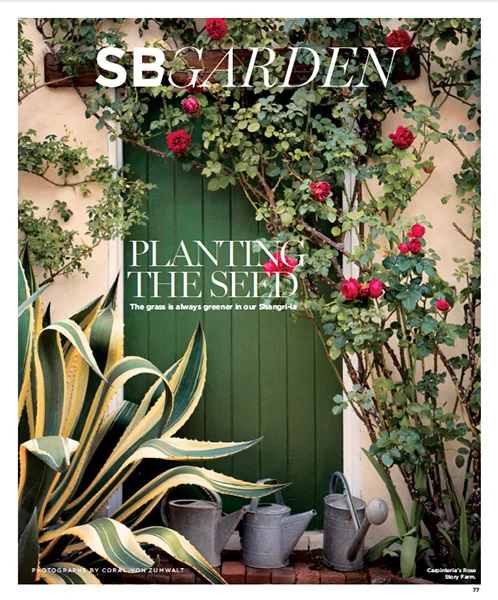 Santa Barbara Magazine - Best of 2015: Petal Pusher