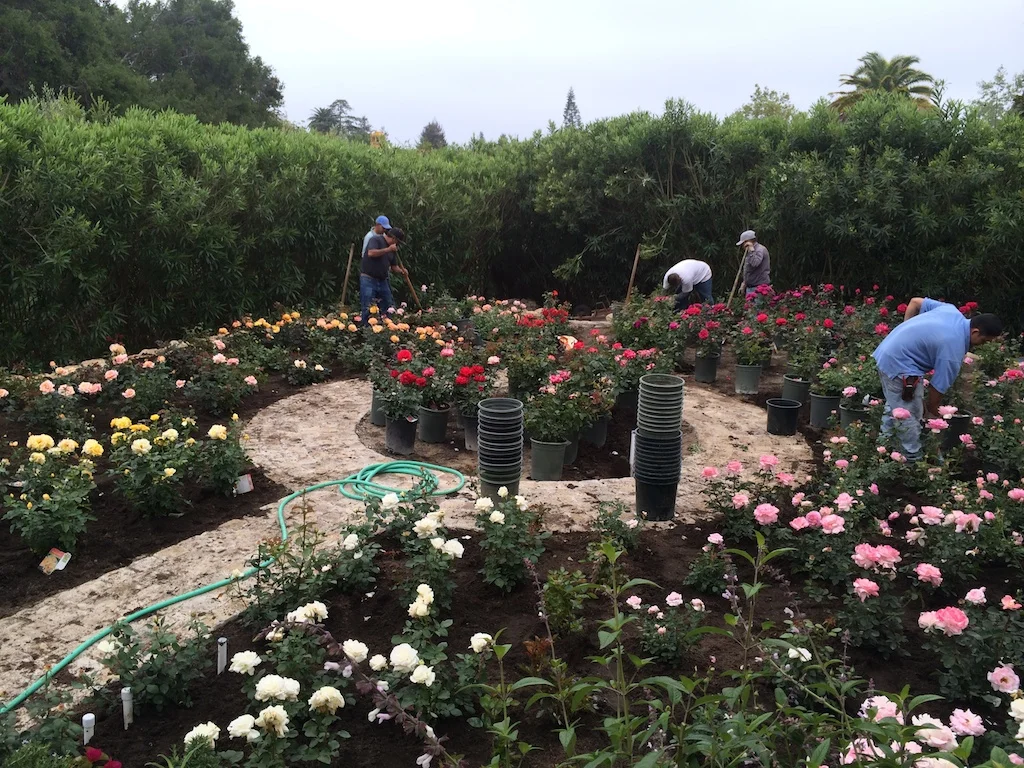 A Special Garden for a Special Couple