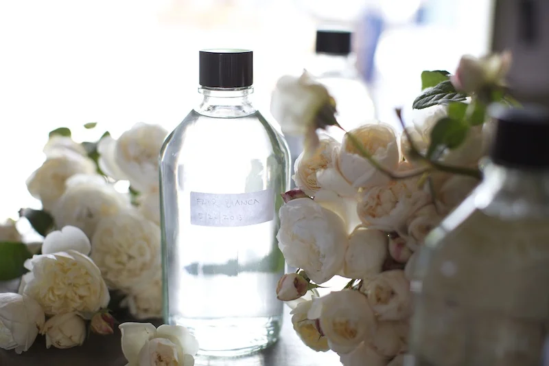 Finding the Essence of the Rose