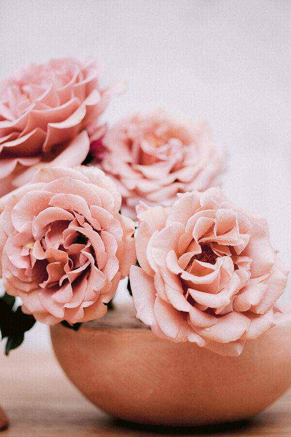 Dusty Neutral Roses