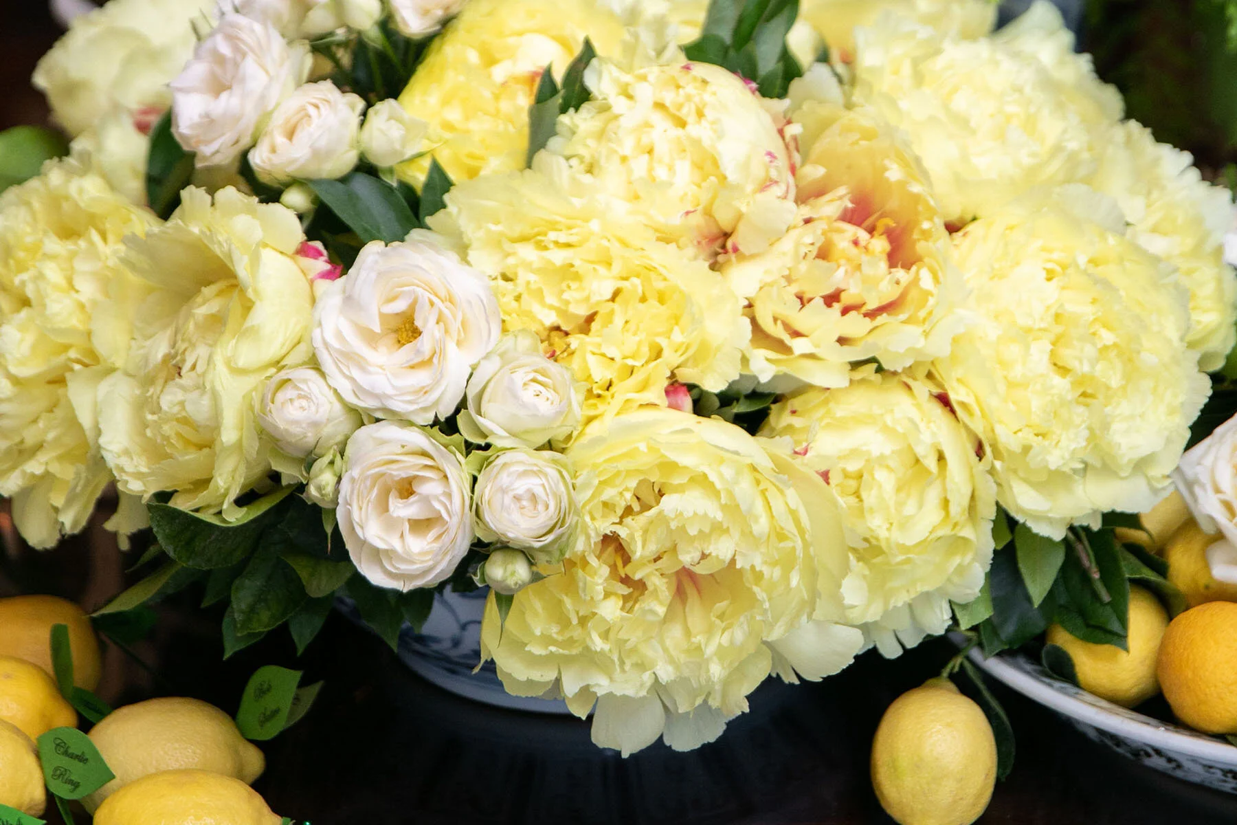  design  @jacksondurhamevents  