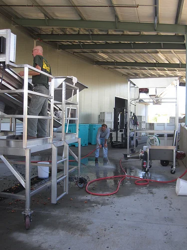 harvest 2010a.jpg