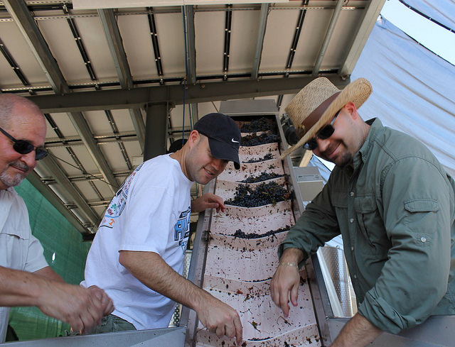 John, Jason and TL sorting