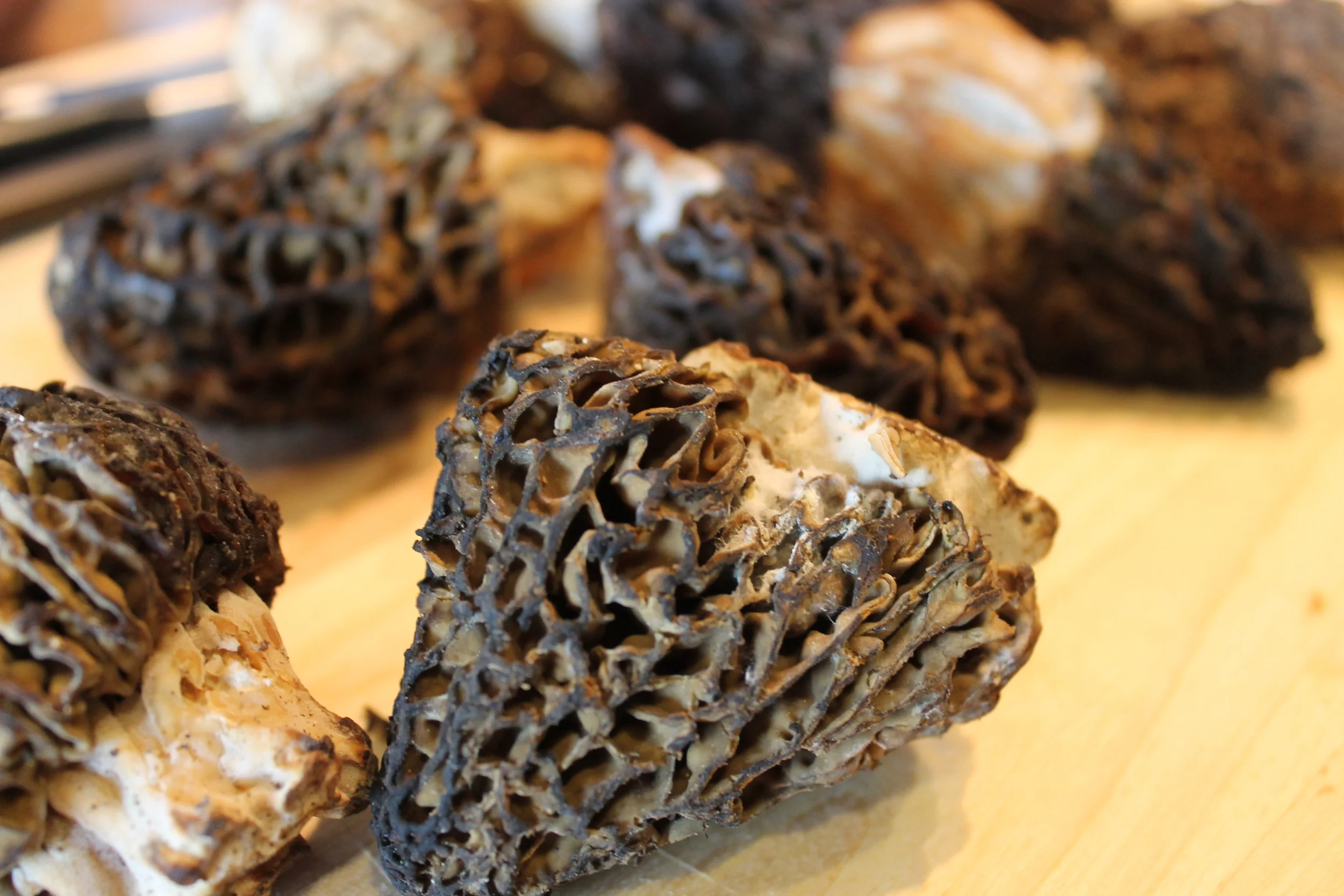 Morel Mushrooms for the Risotto