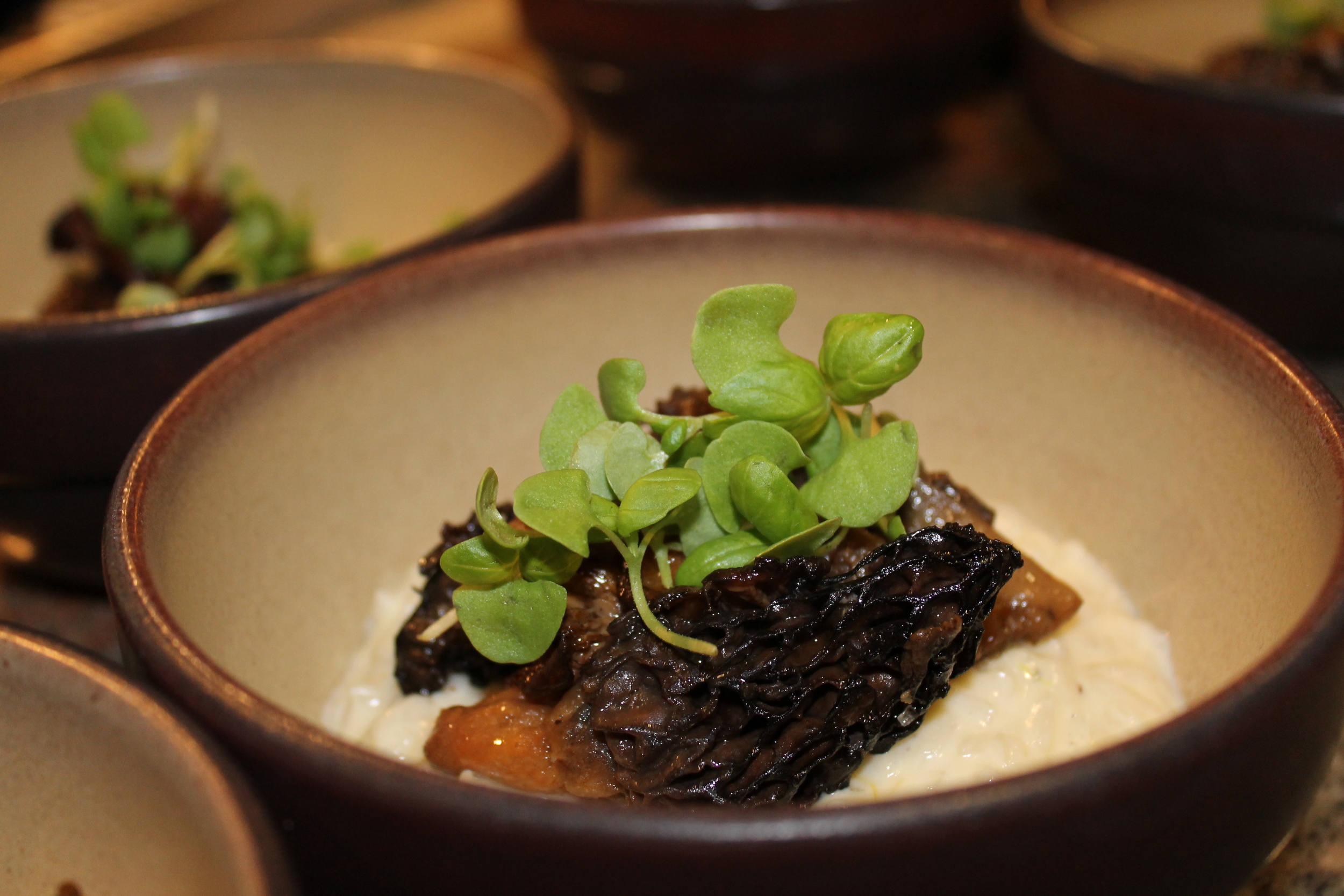 Risotto topped with Morels and micro basil