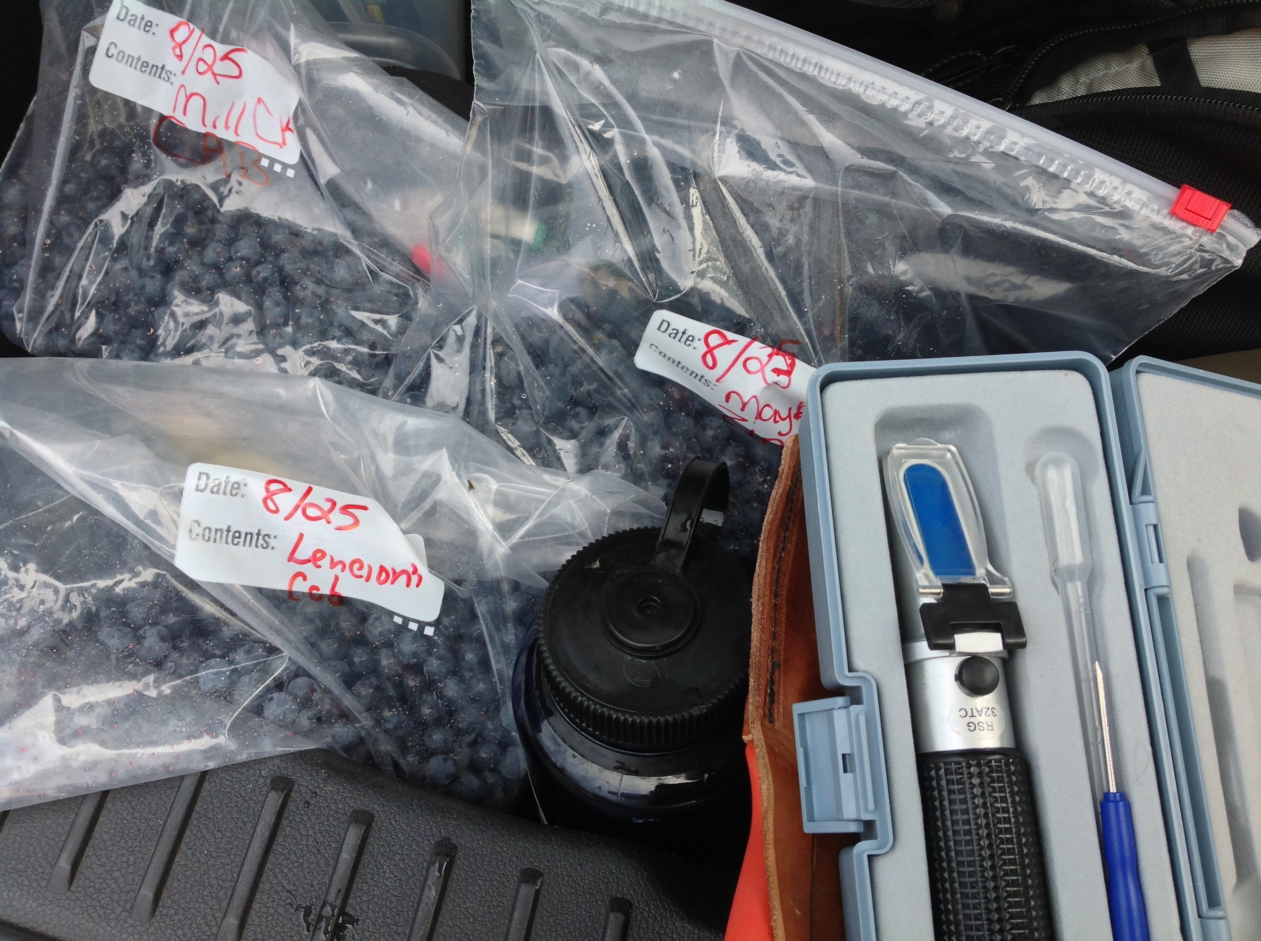 Sonic Screwdriver and Ziploc Bags