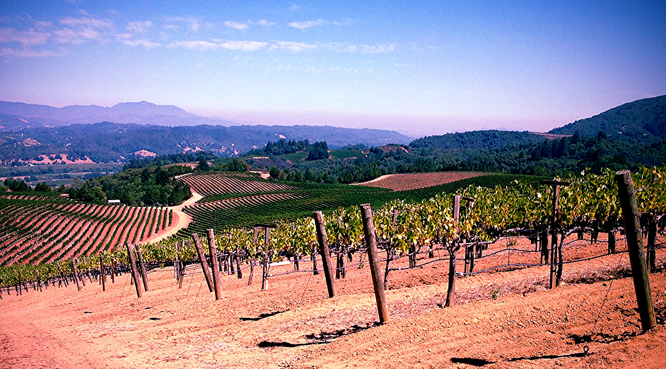 The view from Dry Creek Valley