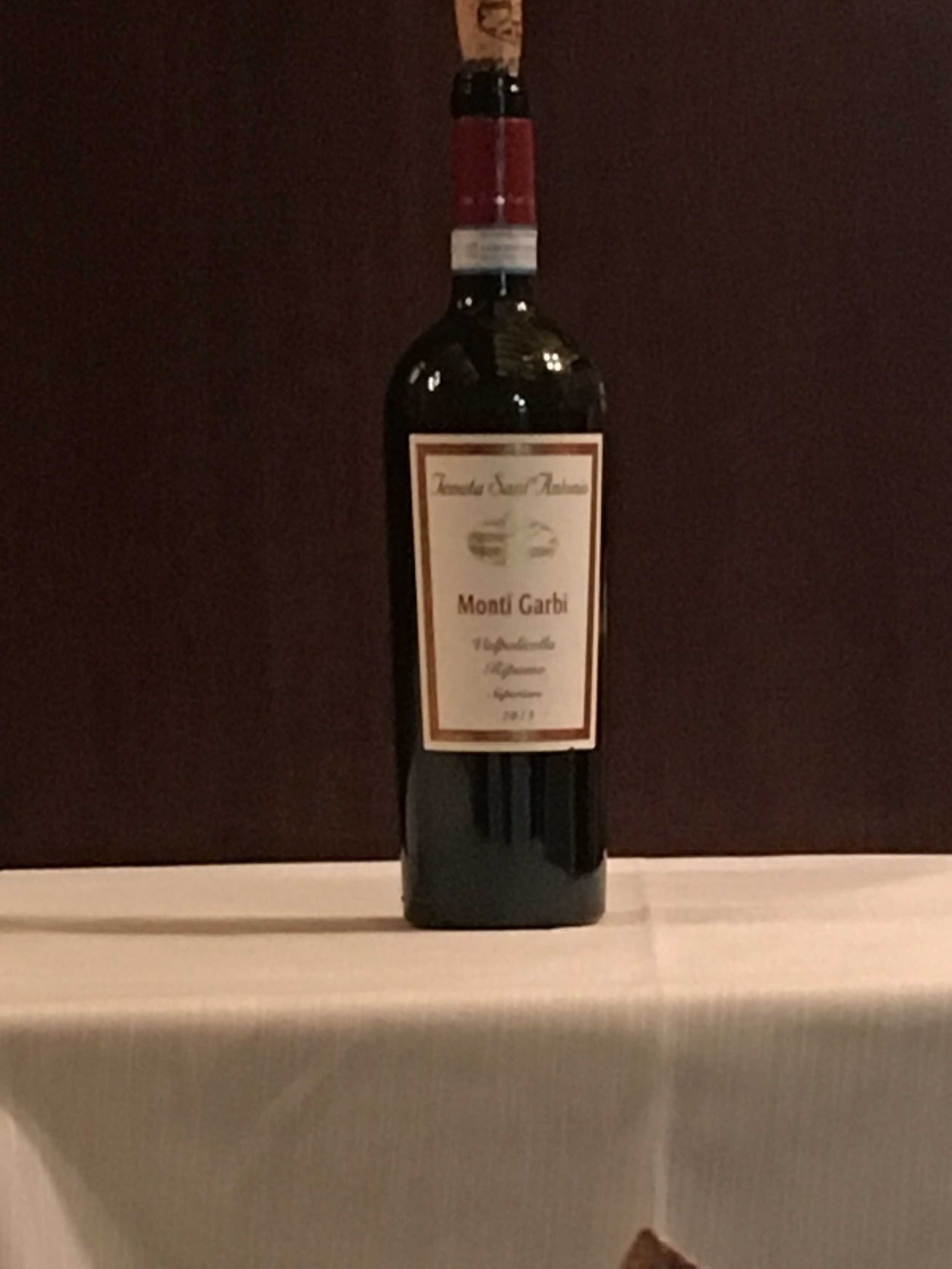 Monti Garbi Ripasso, 2013 Tenuta Sant Antonio