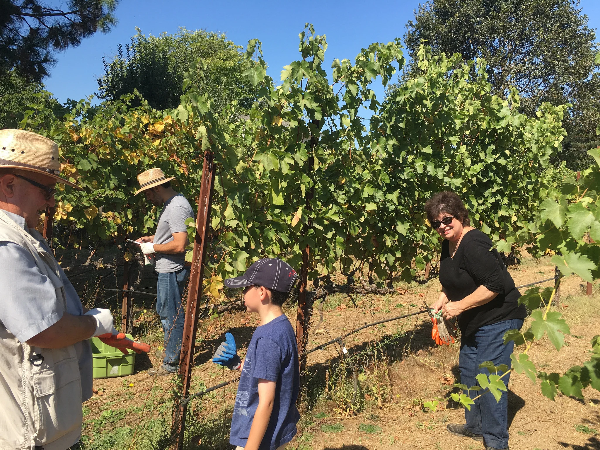 Coordinating the picking