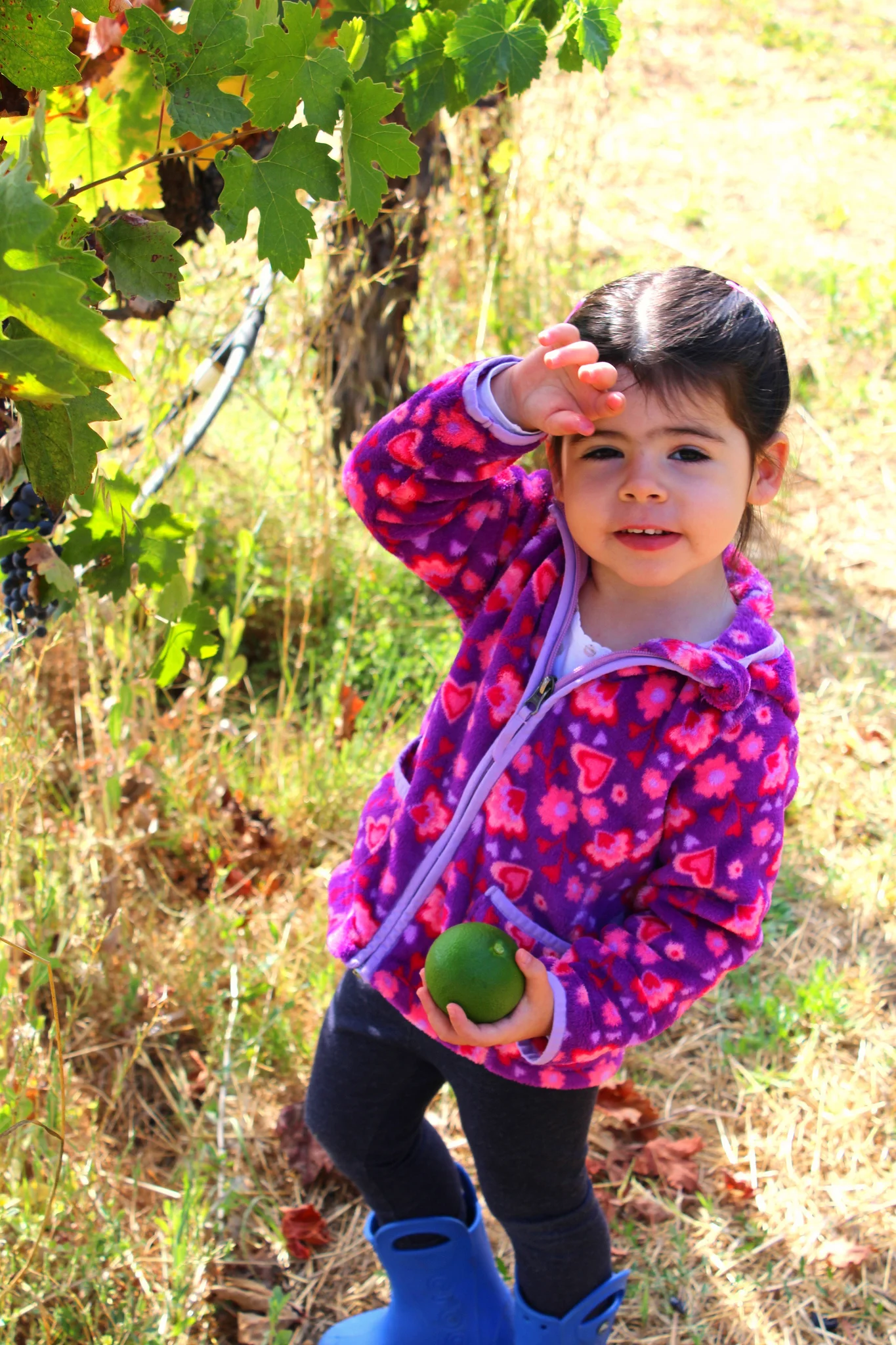 She found some fruit