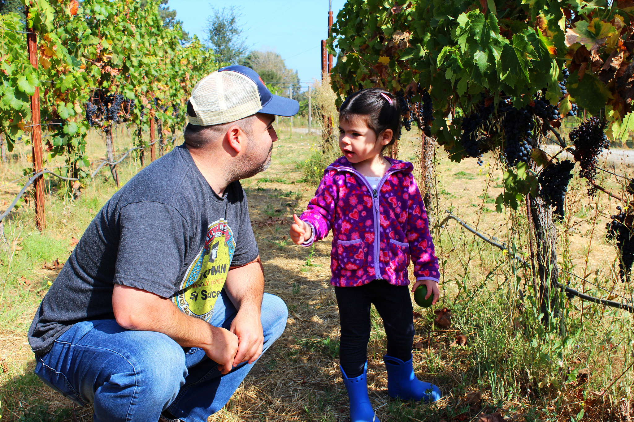 Testing the grapes