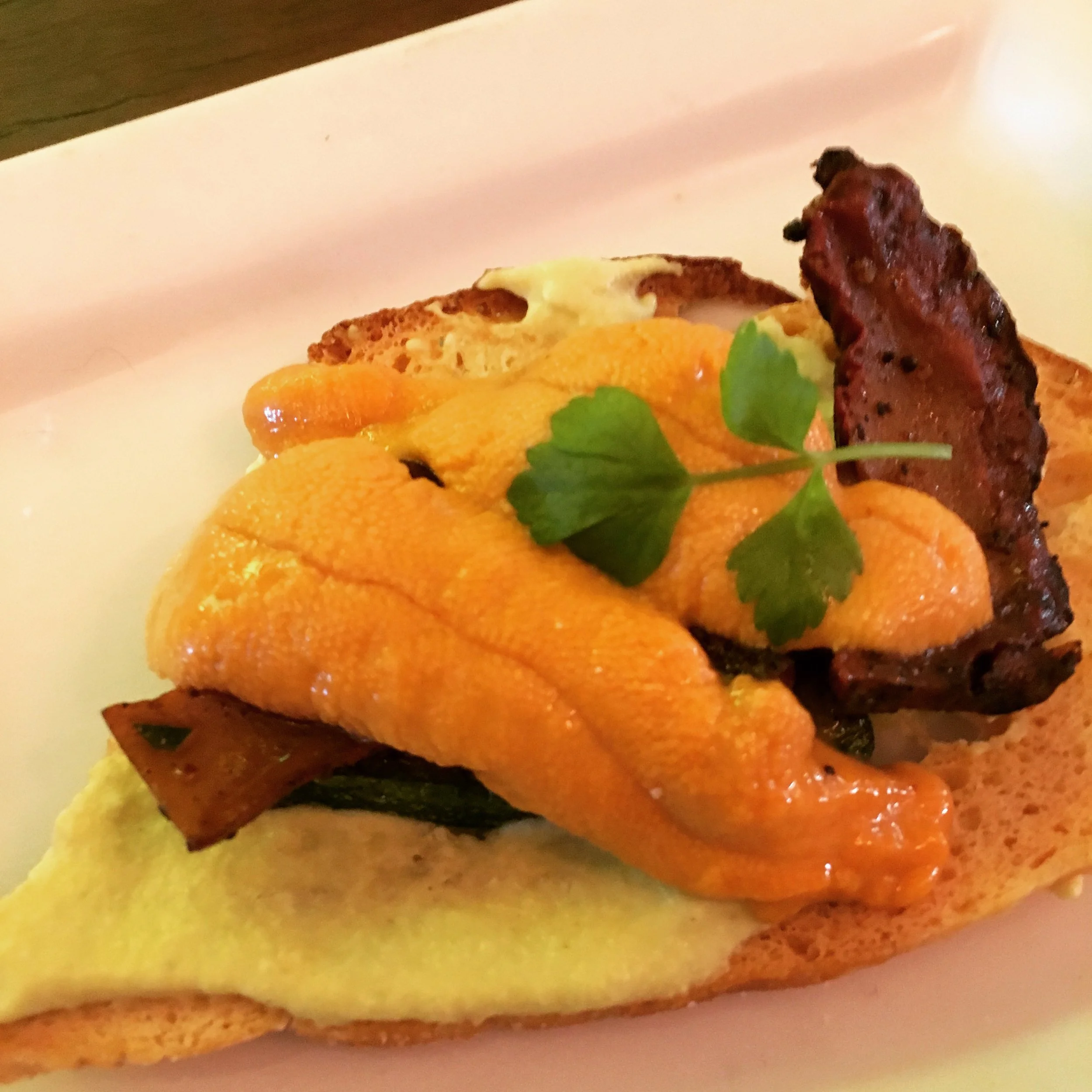 Ricci on toast at Diavola