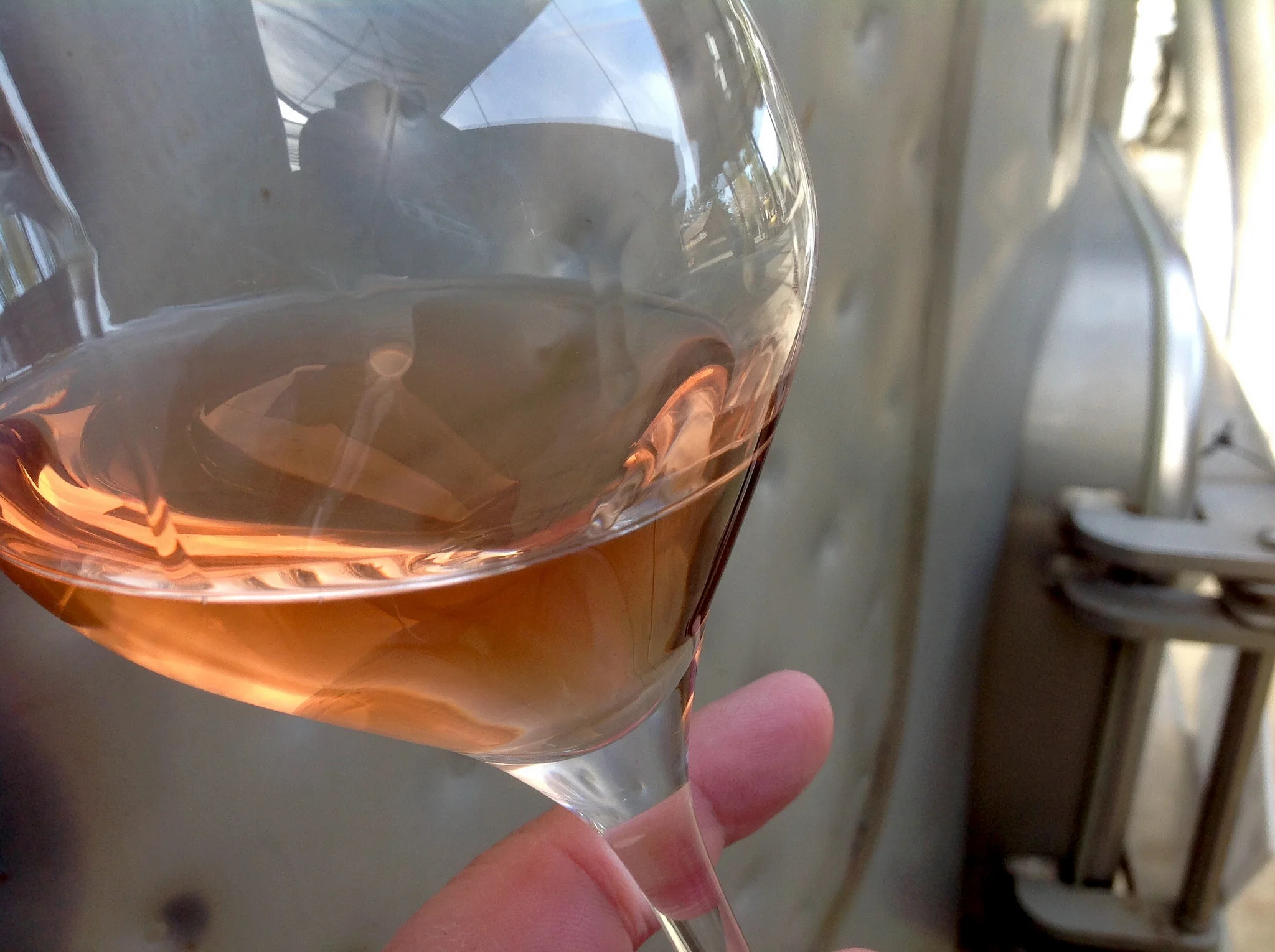 mastro_scheidt_rose_2018.jpg