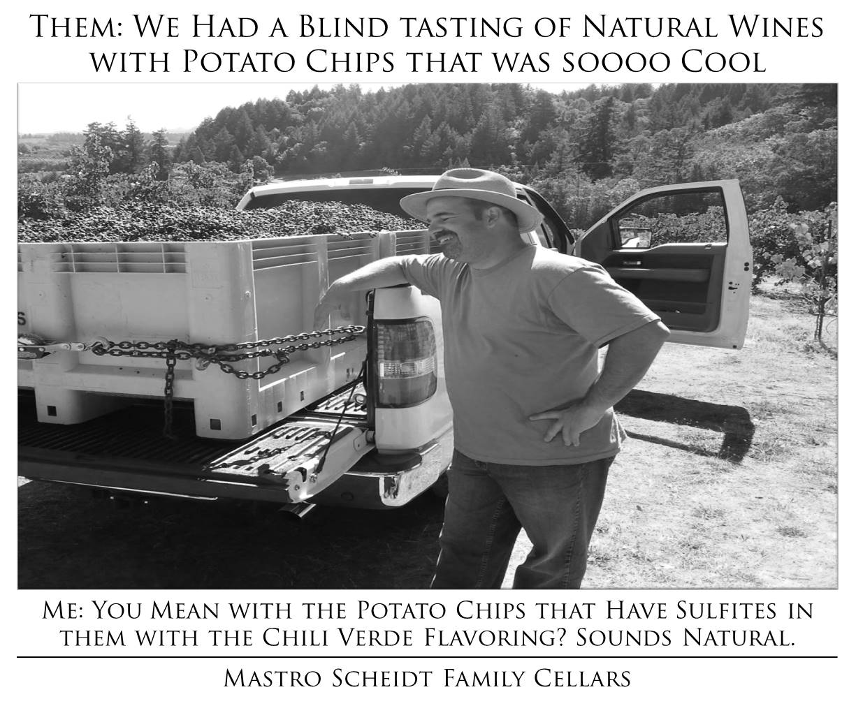 Blind Potato Chip Tasting