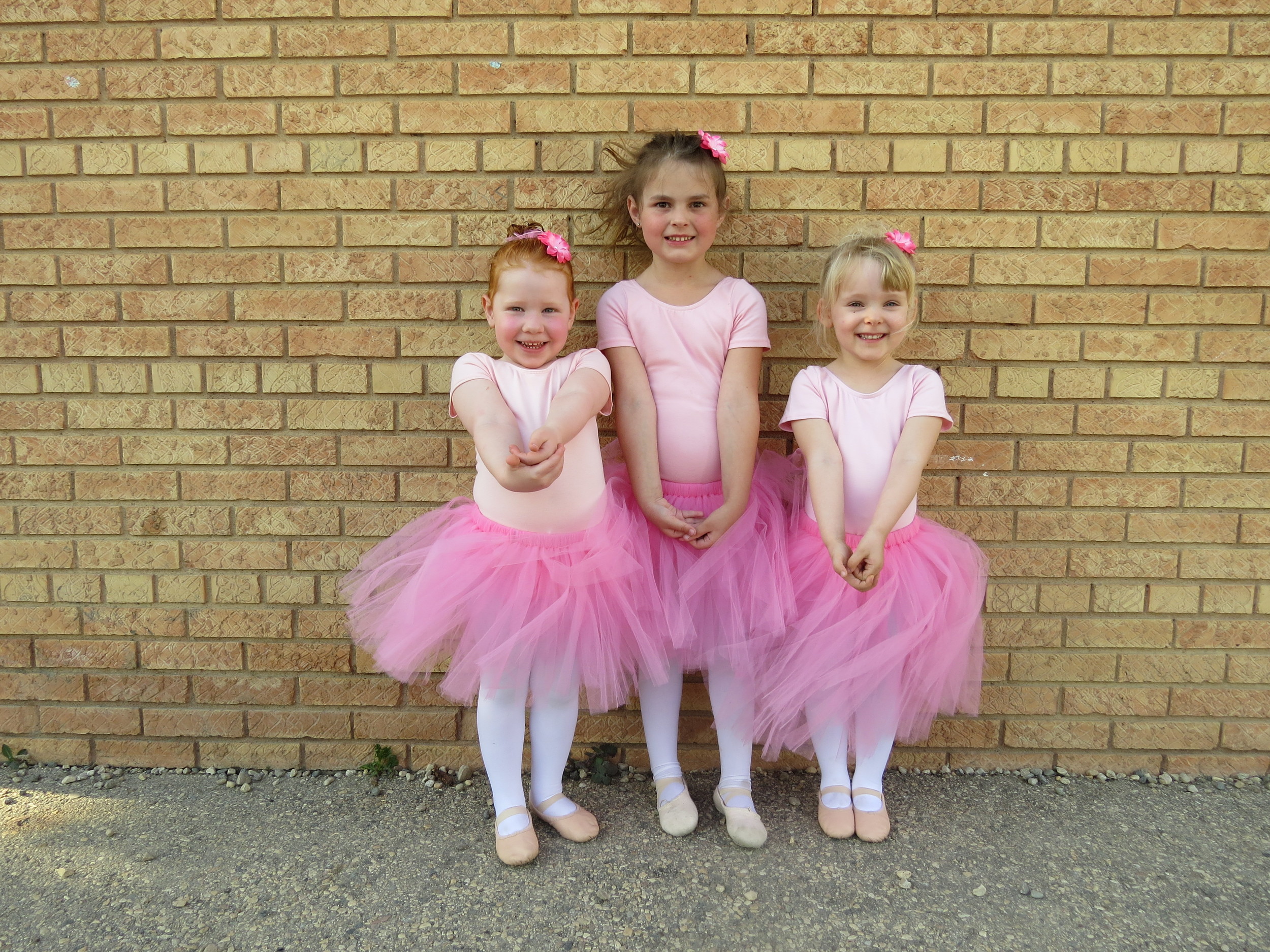 Twinkle Toes Music Box Ballerinas 2014-2015