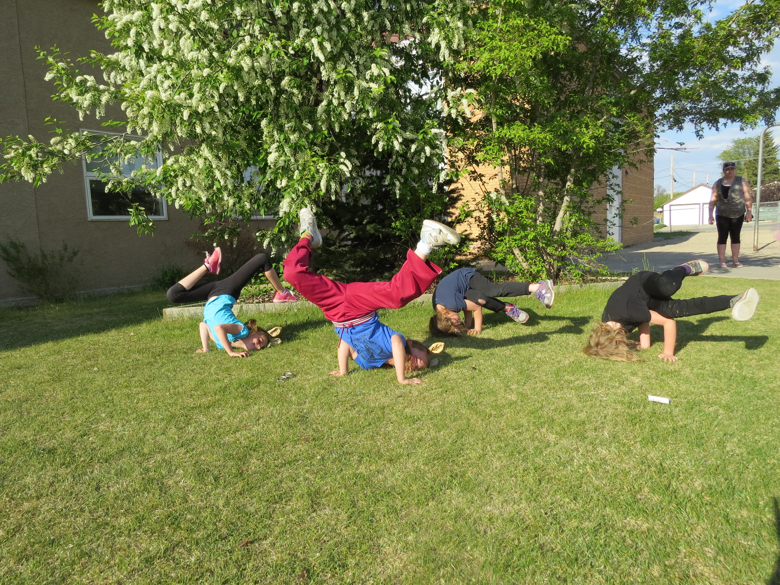 Primary Hip Hop Forest Funk 2014-2015