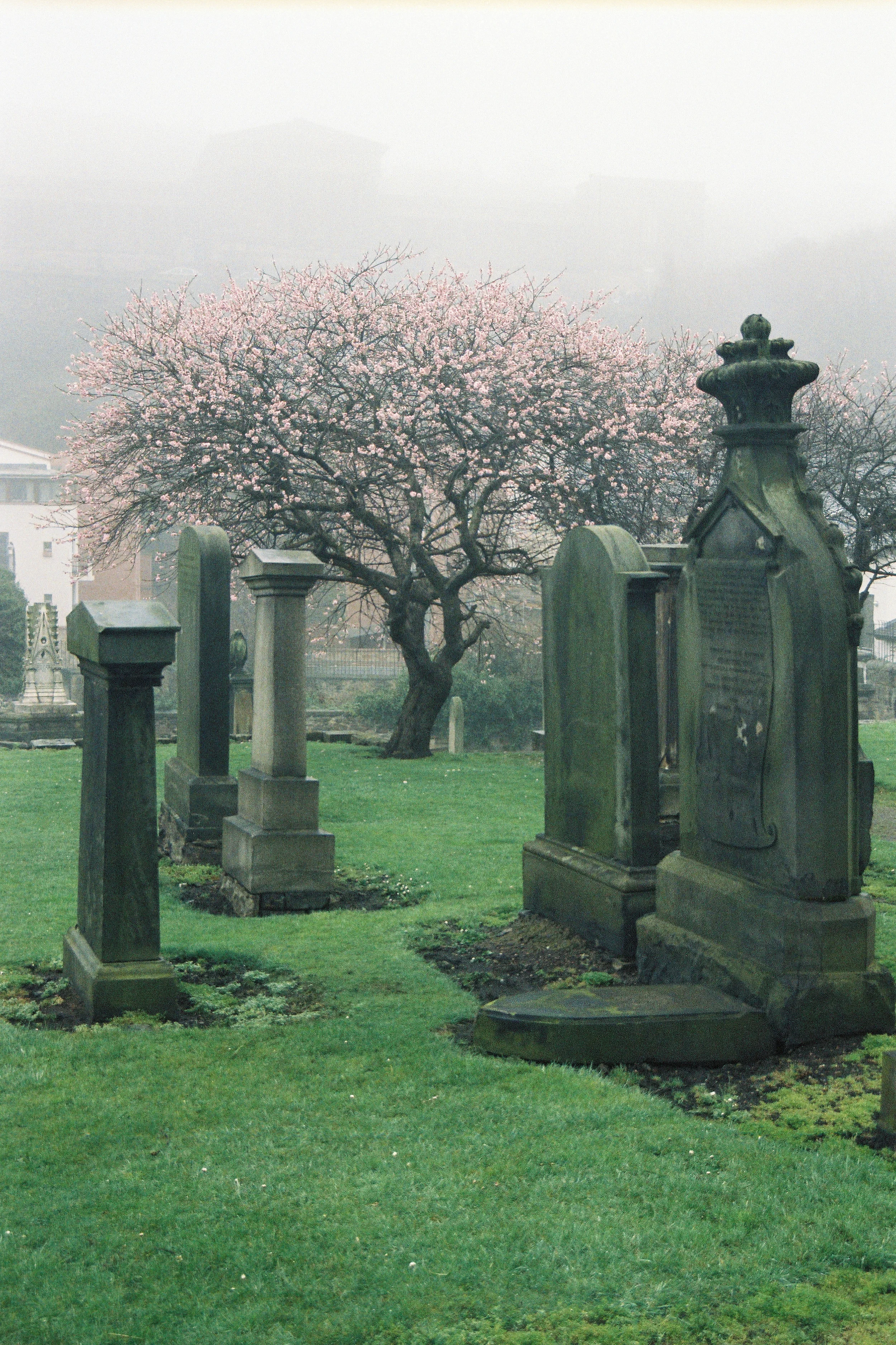 Film photograph: Life and Death; Edinburgh, Scotland