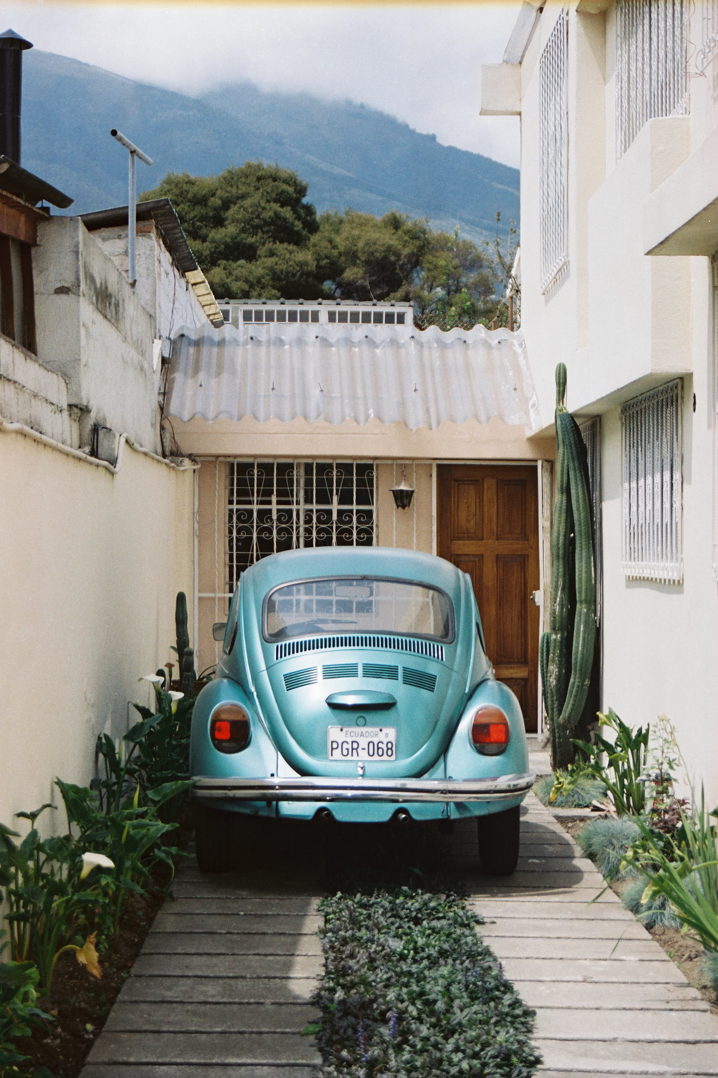 Film photograph: Maria's Beetle; Quito, Ecuador
