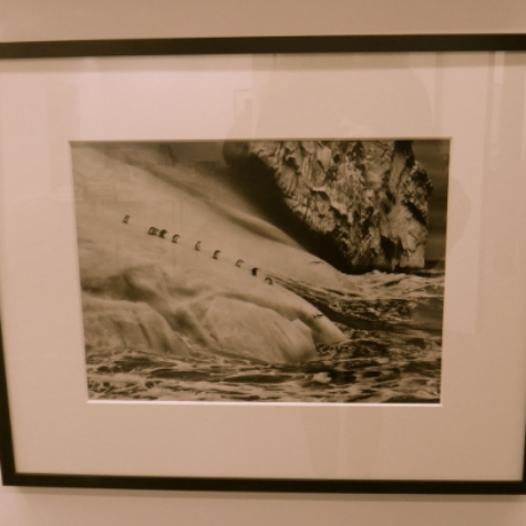  Sebastiao Salgado 