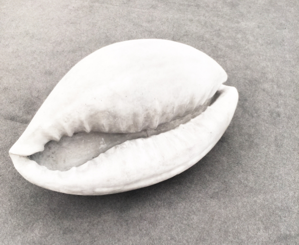 Melik Ohanian Shell 2014