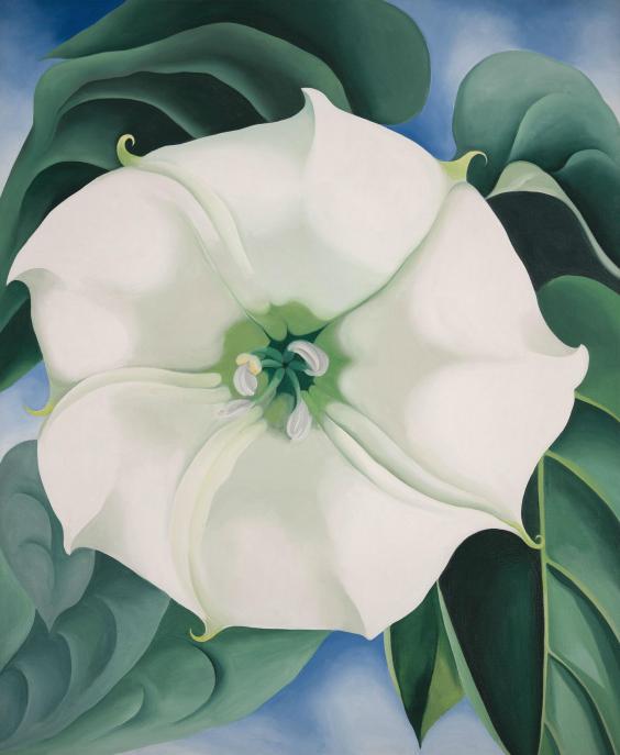 Jimson Weed , 1932