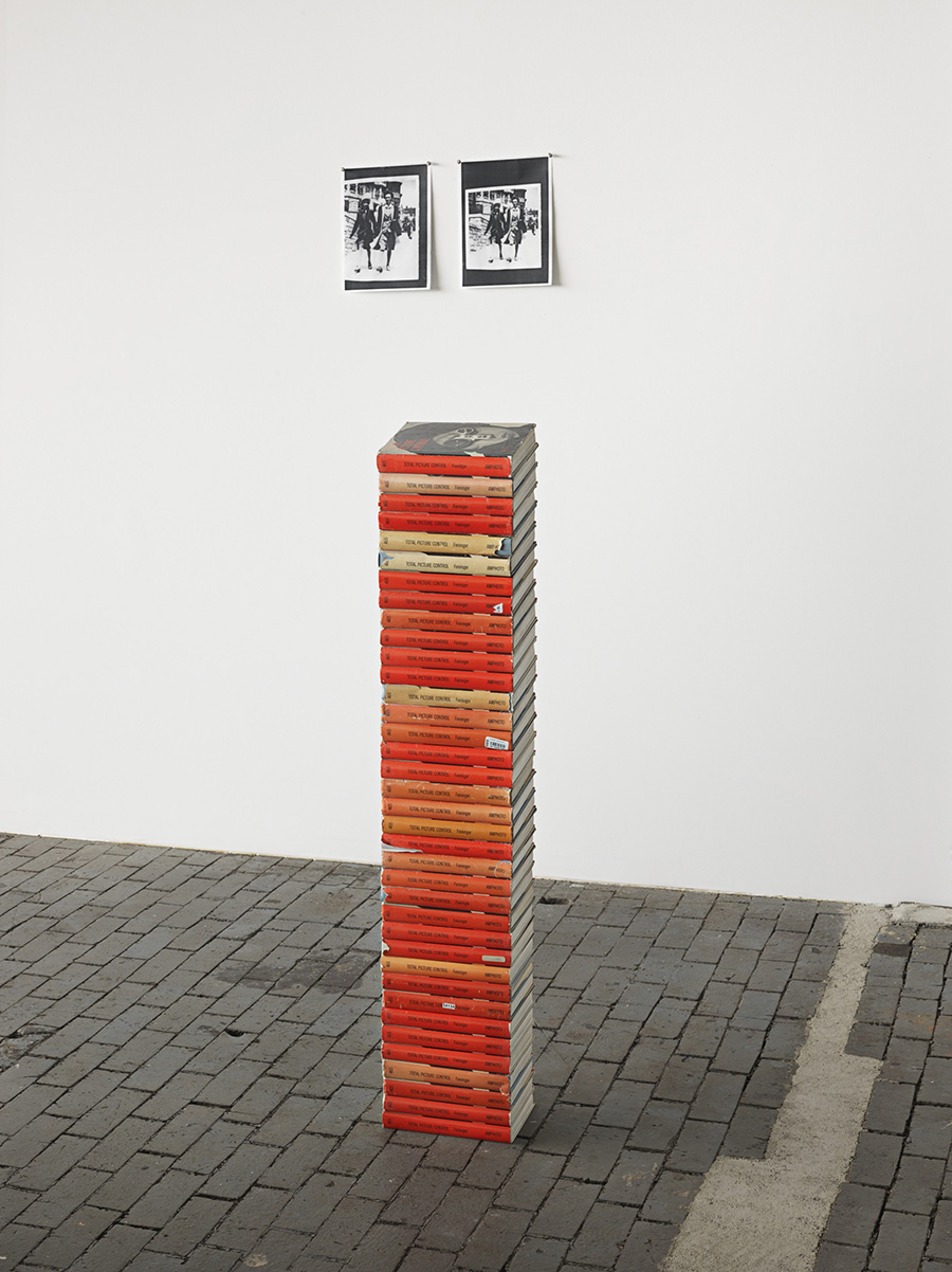 Zoe Leonard (b. 1961), Total Picture Control (I) 2016, 38 Books, 120 x 22.2 x 17.1 cm / 47 1/4 x 8 3/4 x 6 3/4 inches