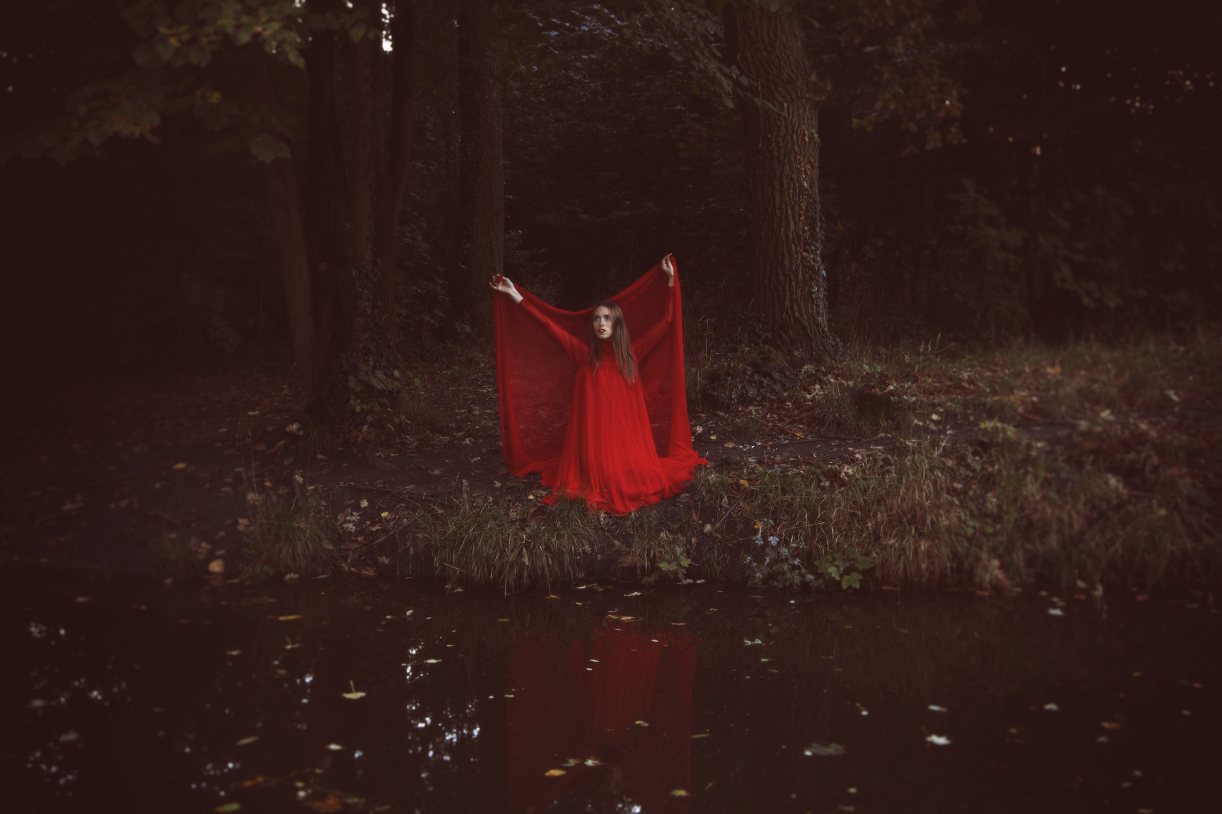Mists Of Avalon, 2016 © Anouska Beckwith