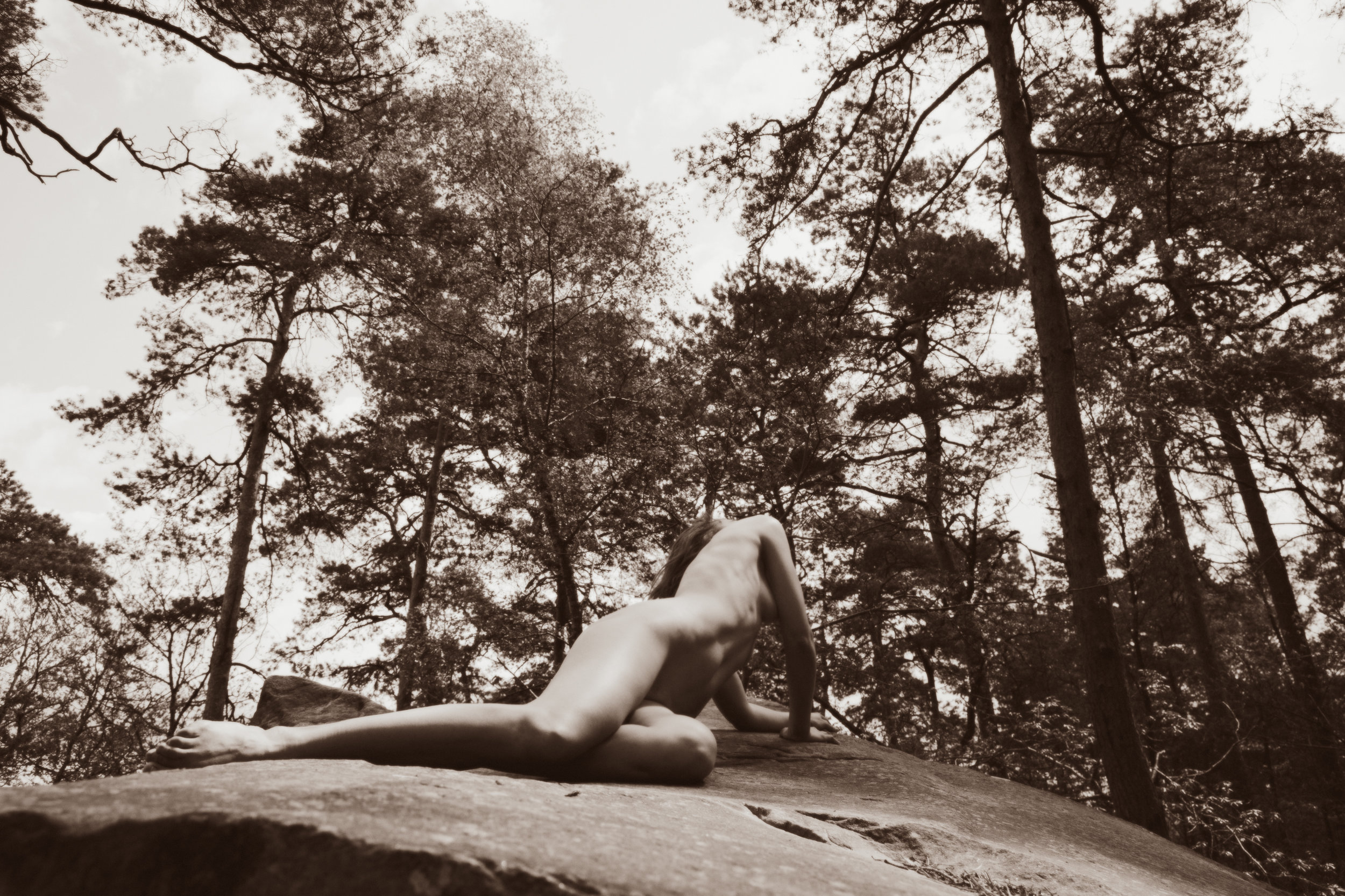 Reach for the Sky, 2016 © Anouska Beckwith