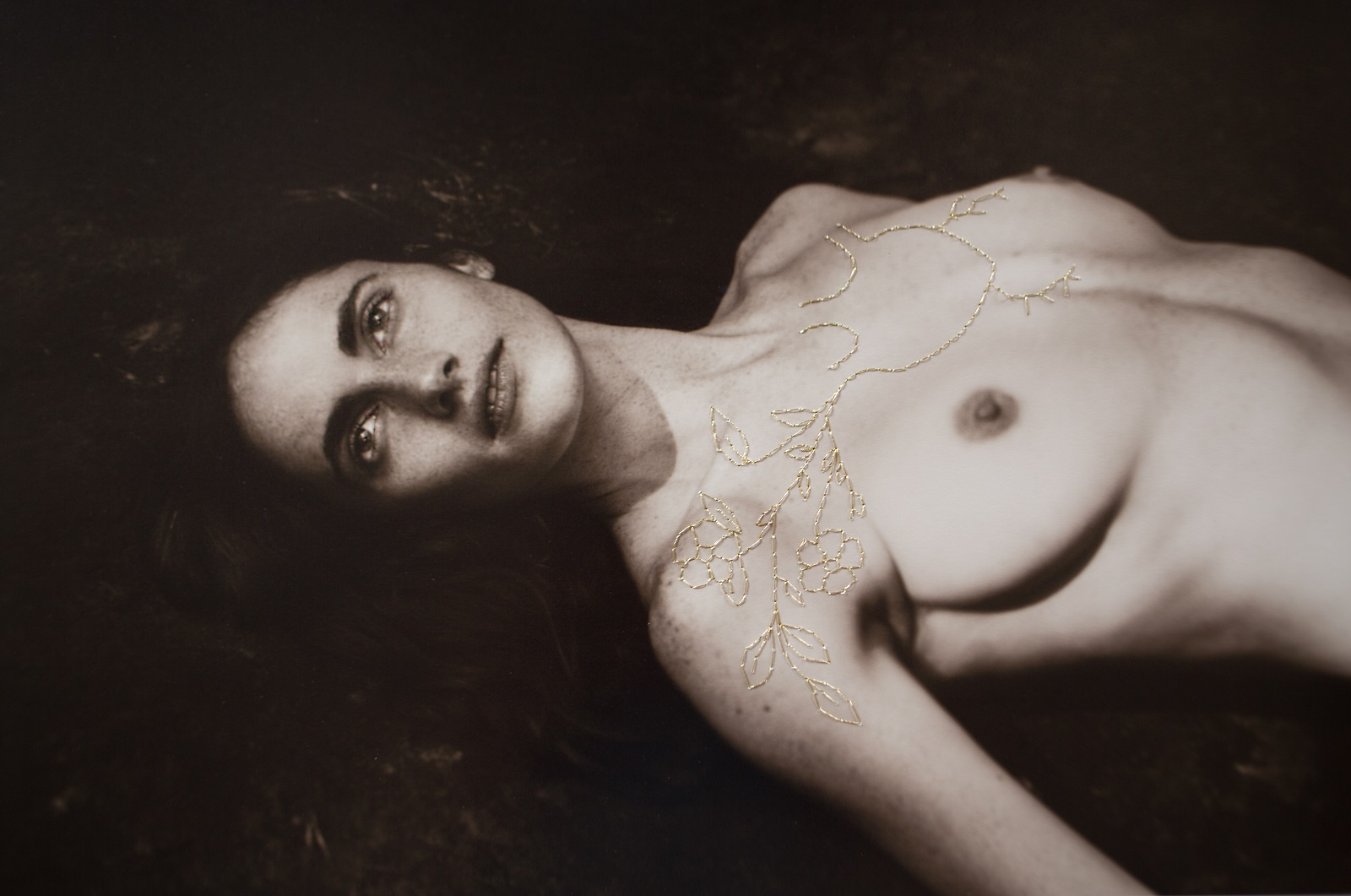 The Golden Heart, 2016 © Anouska Beckwith