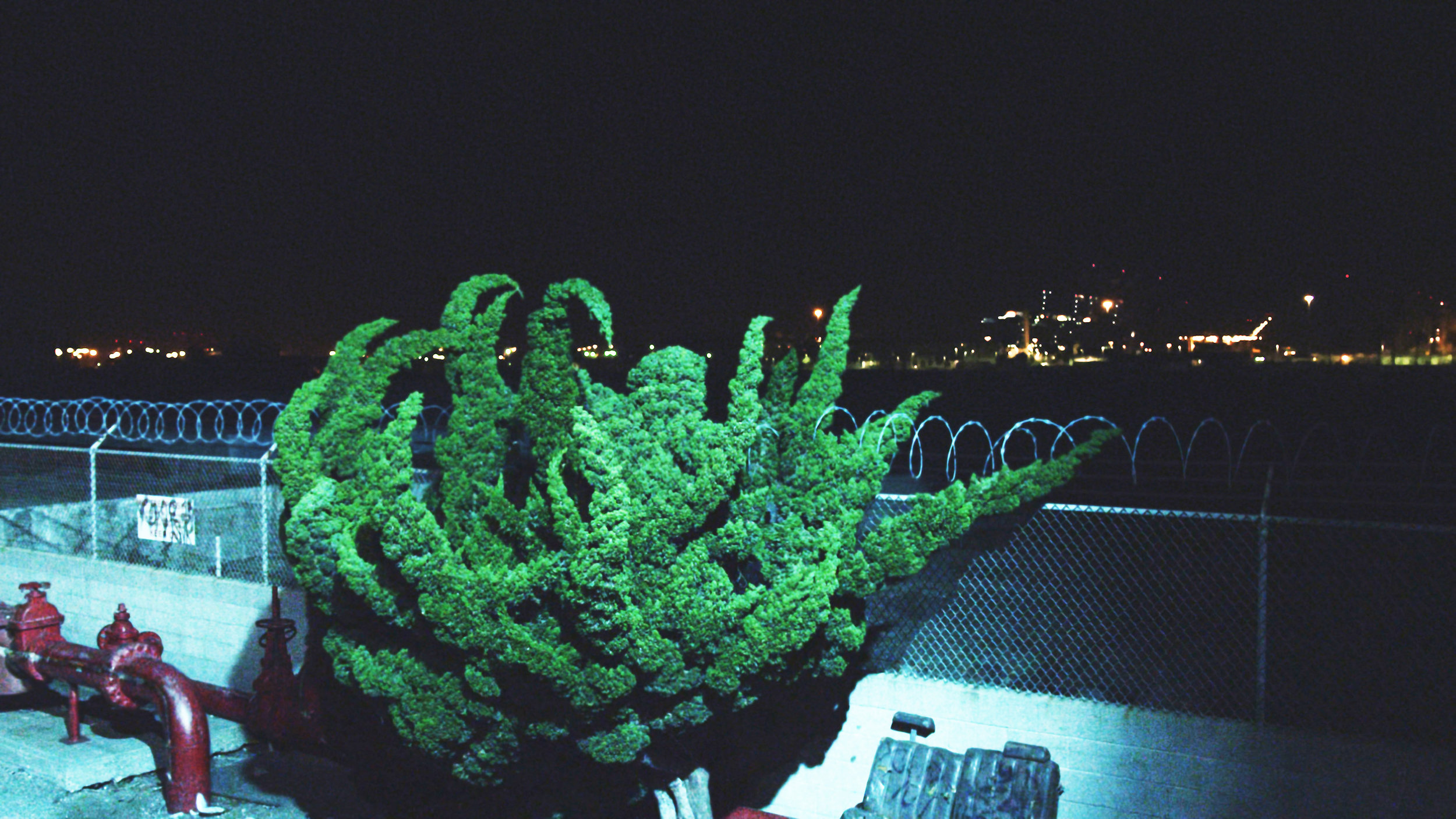 Cyprien Gaillard, Still from Nightlife ( 2015)