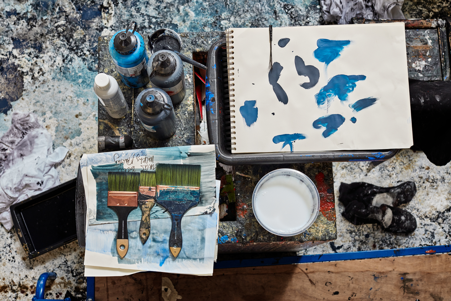 Fabienne Verdier studio, 2016. Photo John Short. Courtesy Waddington Custot (8).jpg