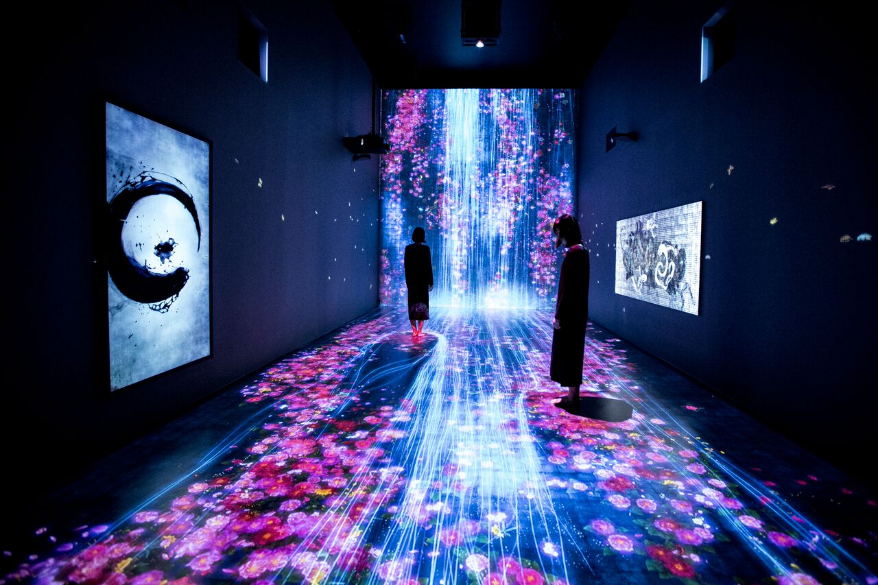 Flowers and People, Transcending Boundaries - A W…le Year per Hour